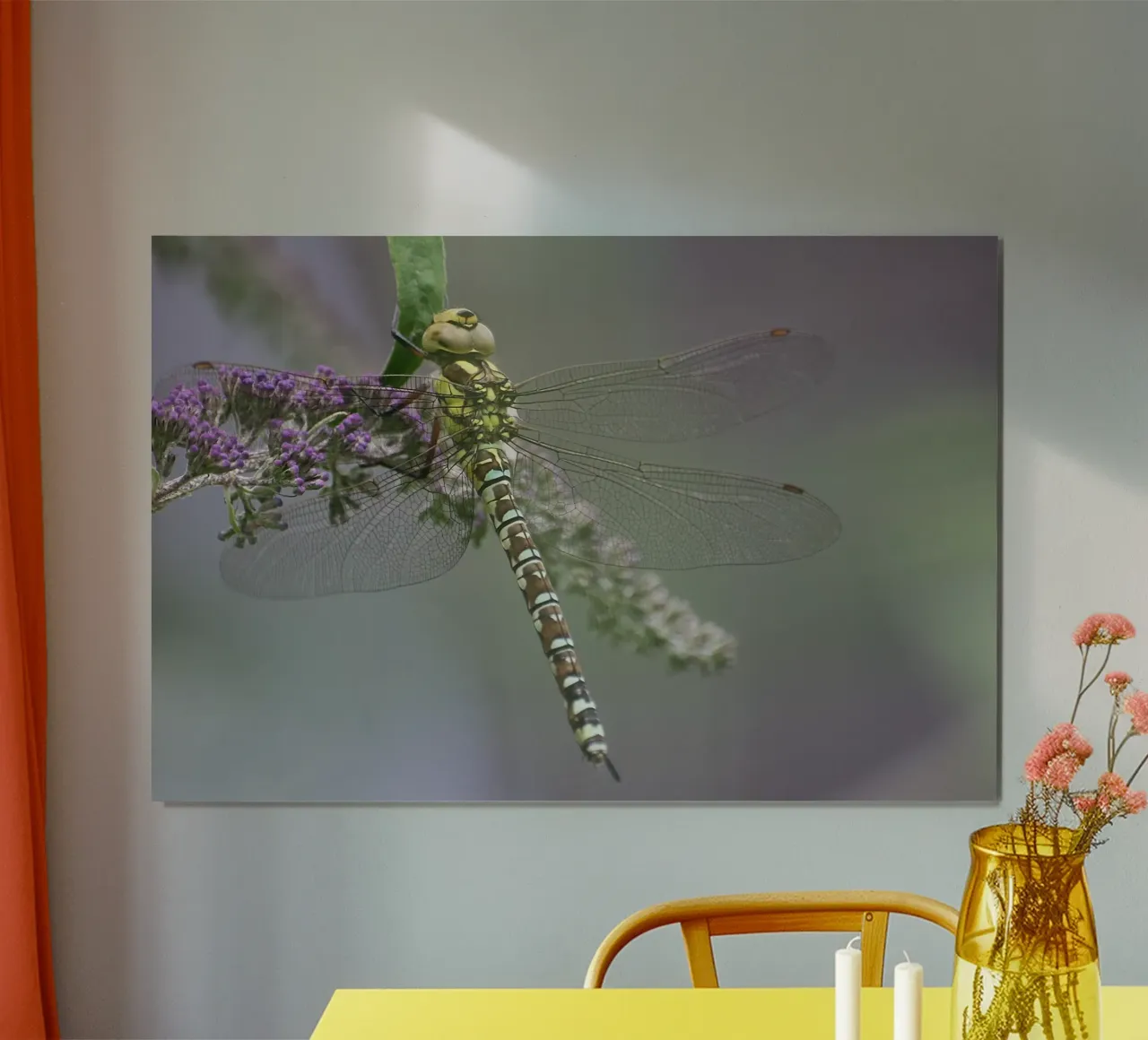 Libelle poster van eyes & tries