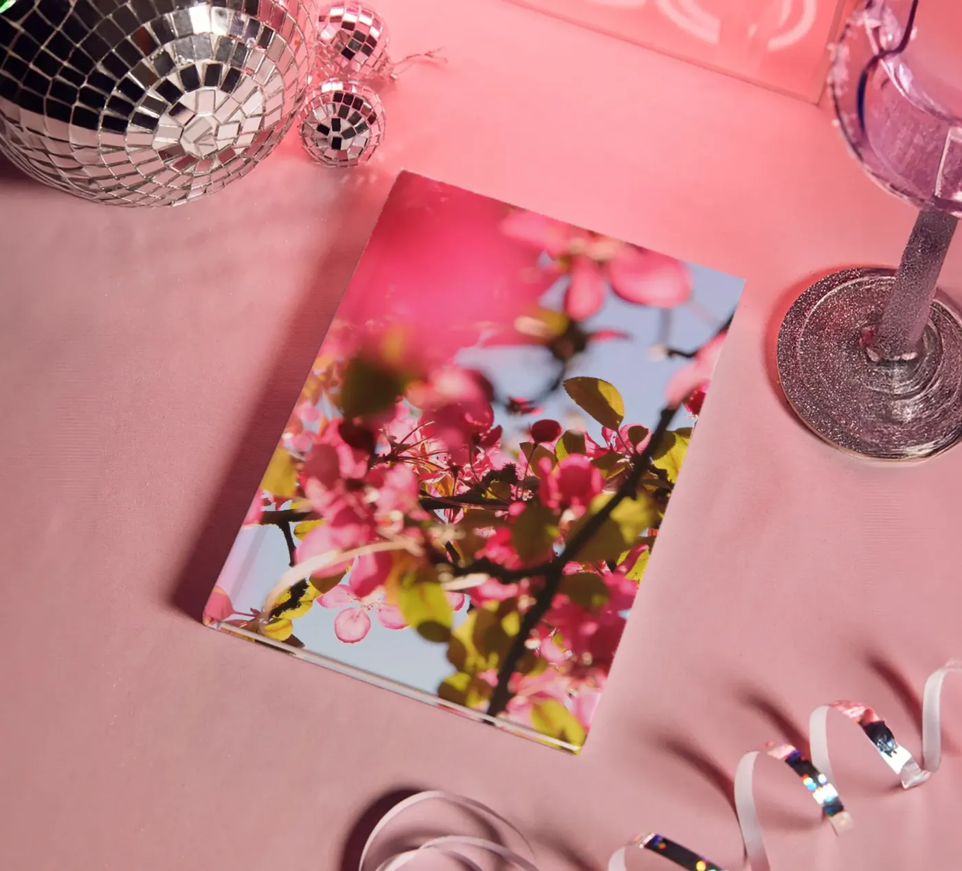Cherry tree carnet de eyes & tries