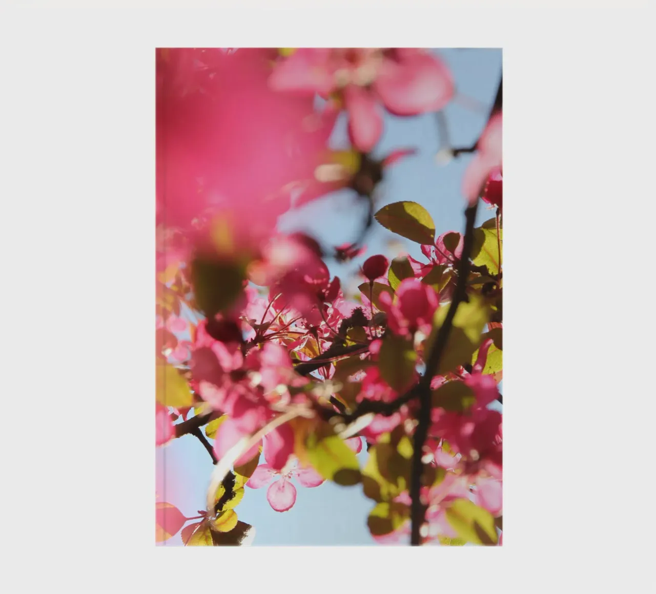 Cherry tree notebook by eyes & tries