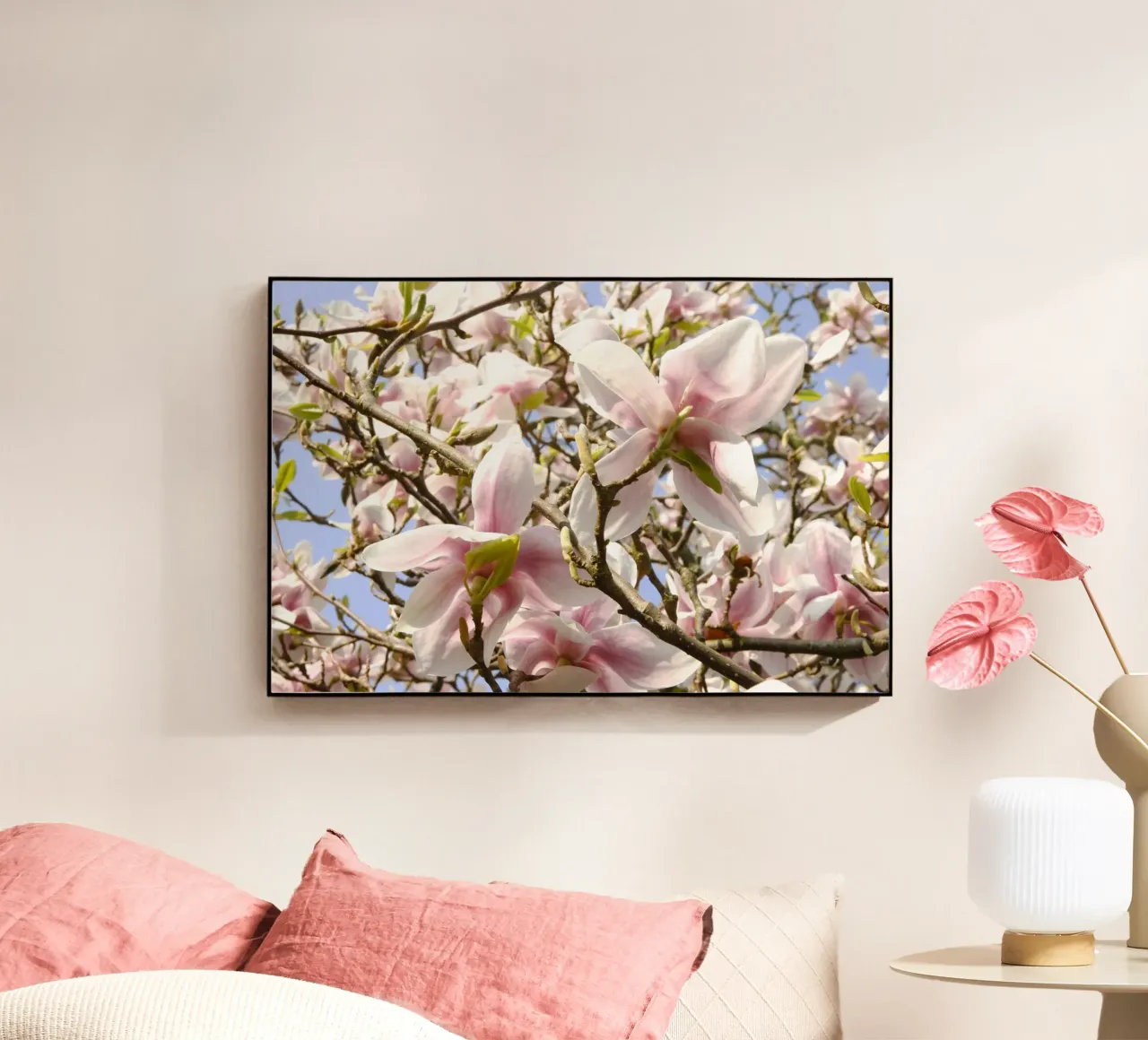 Magnolie plexiglass da eyes & tries