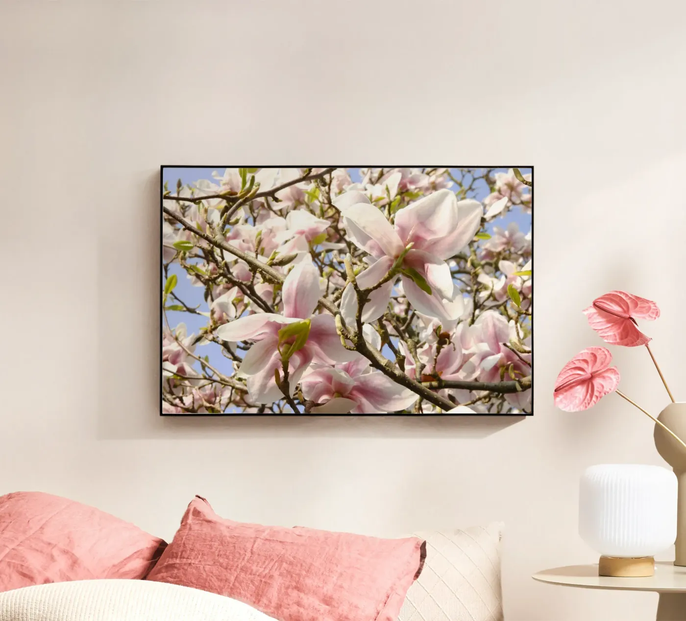 Magnolie plexiglass da eyes & tries