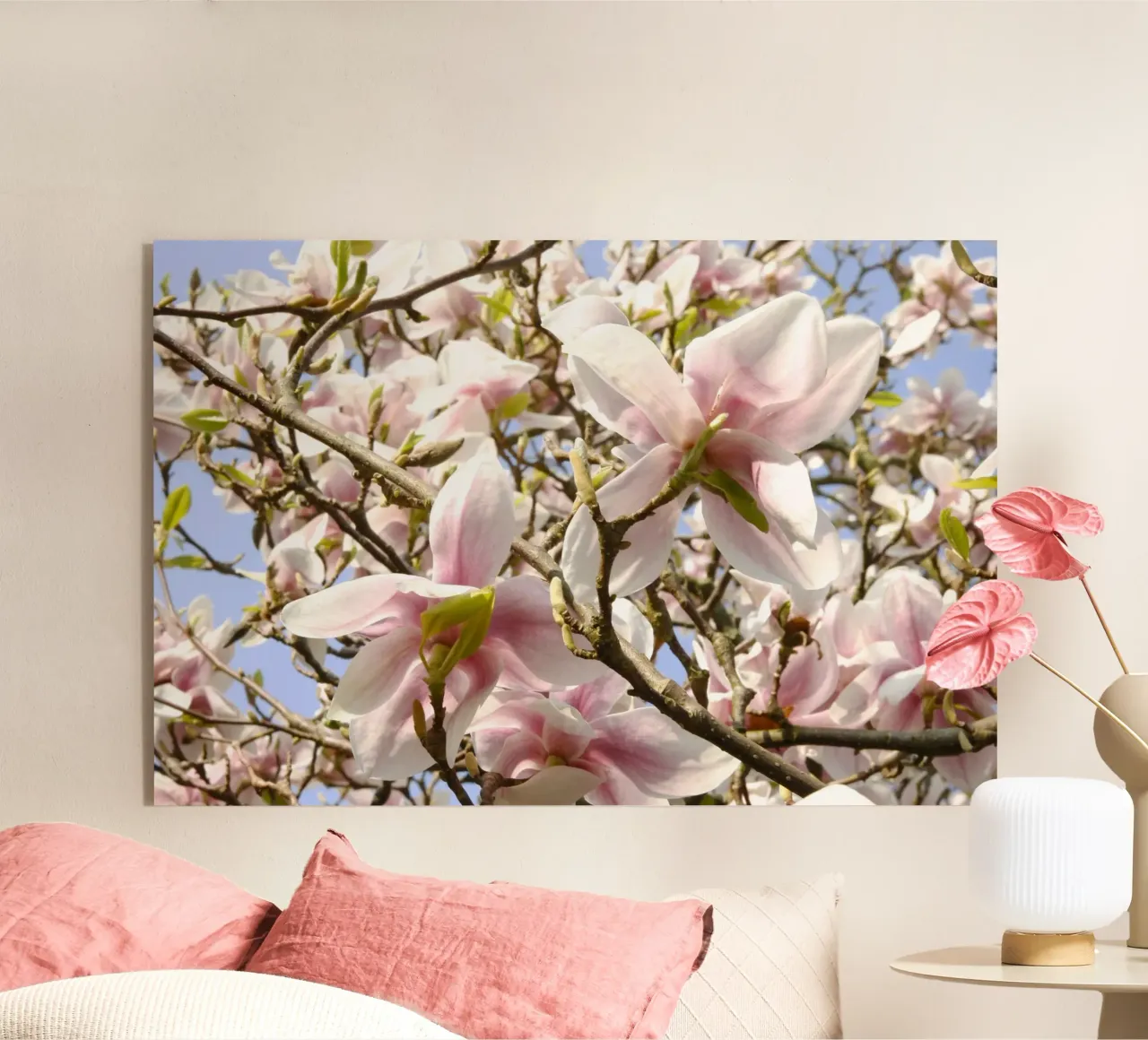 Magnolie plexiglass da eyes & tries