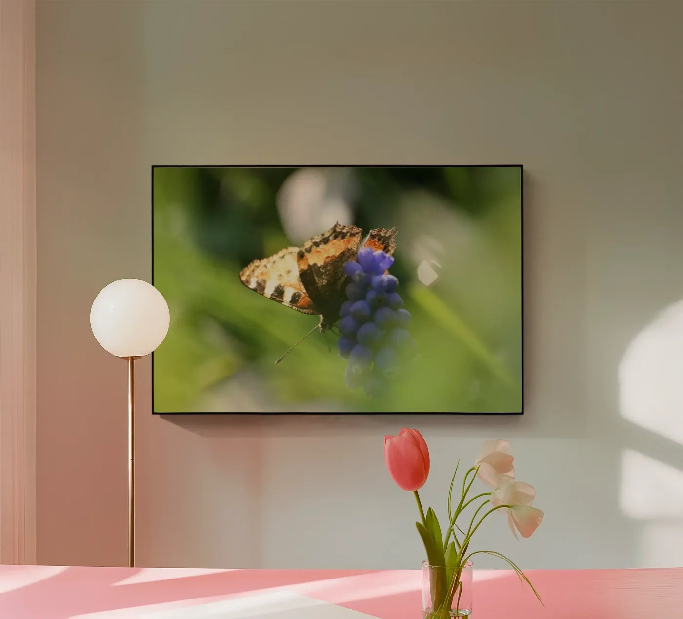 Little fox plexiglass da eyes & tries