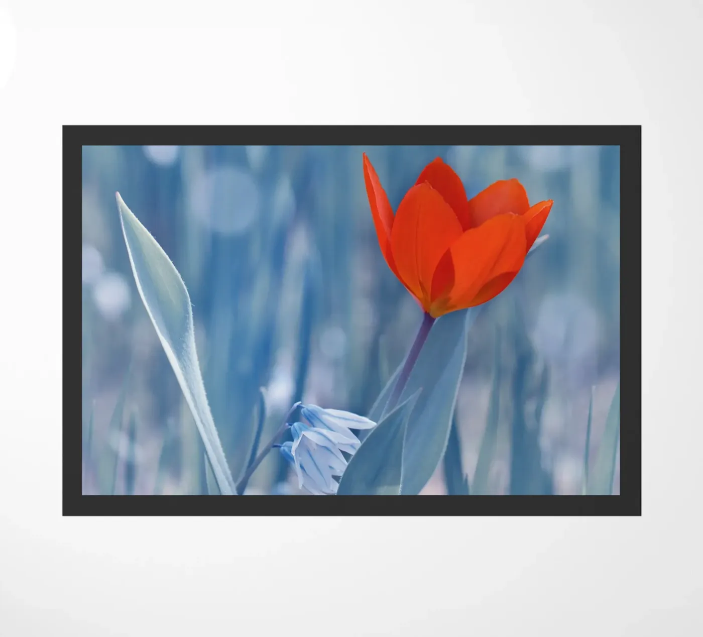 Rode tulp deurmat van Atteloi Fotografie
