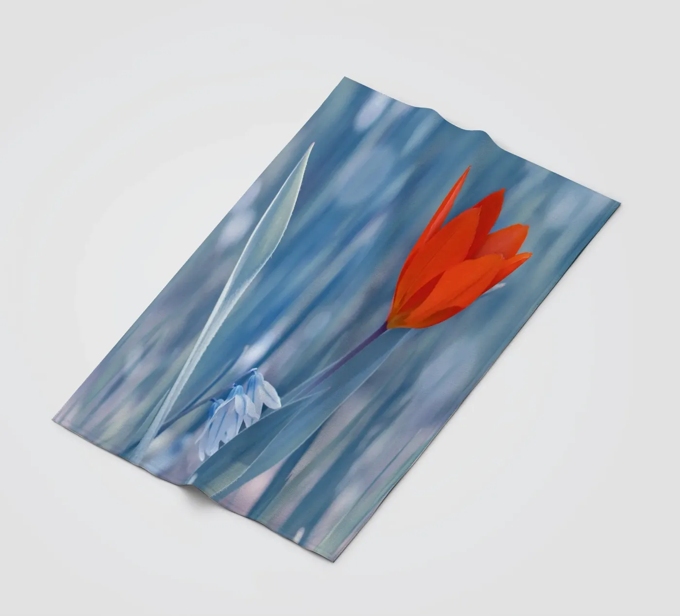 Rode tulp fleecedeken van Atteloi Fotografie