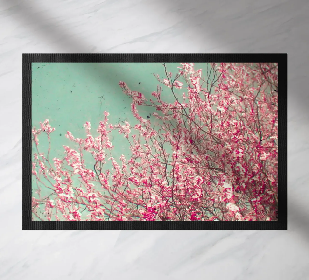 Blossom zerbino da Cassia Beck Photography