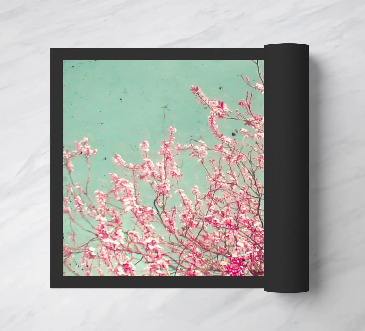 Blossom zerbino da Cassia Beck Photography