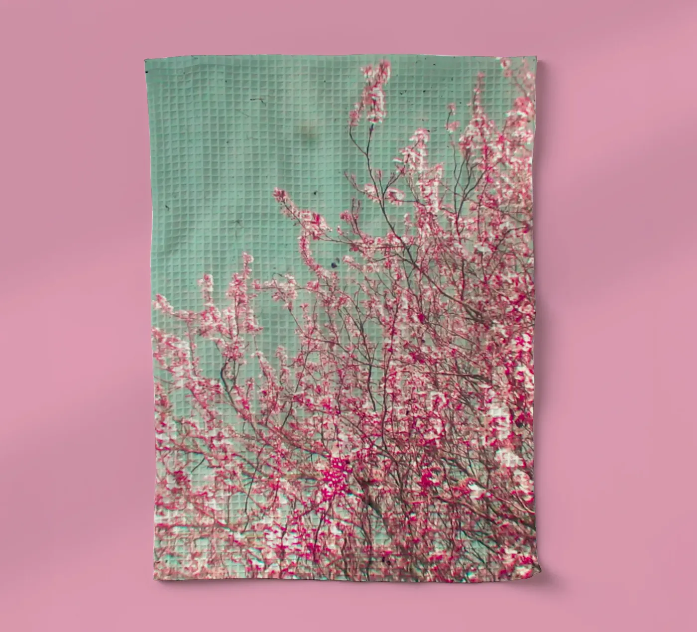 Fleur torchon de Cassia Beck Photography