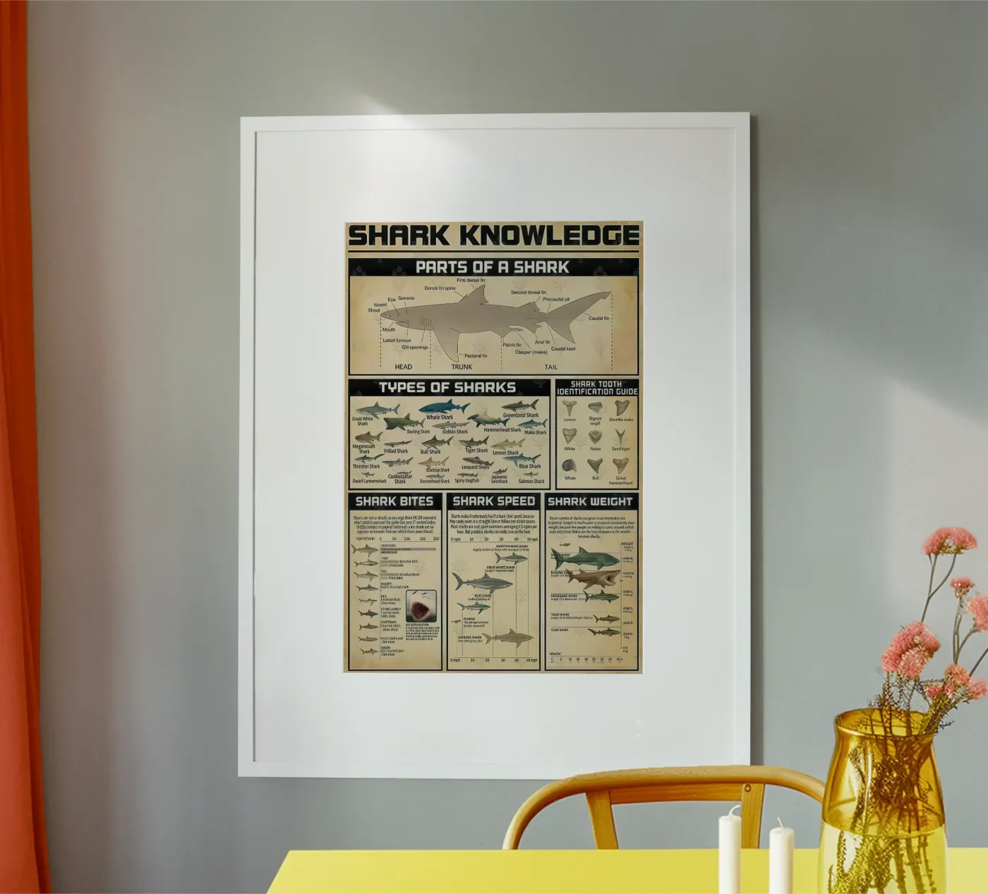 Shark Knowledge poster by Bongaerts