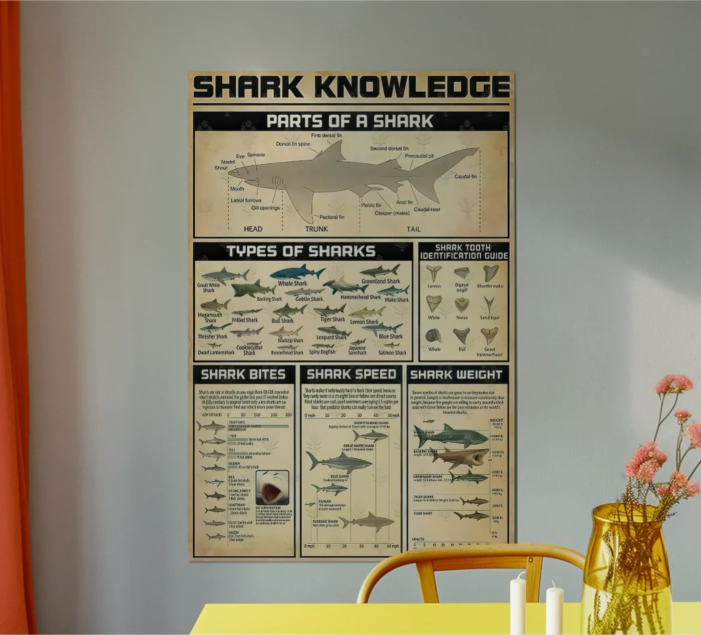 Shark Knowledge poster by Bongaerts