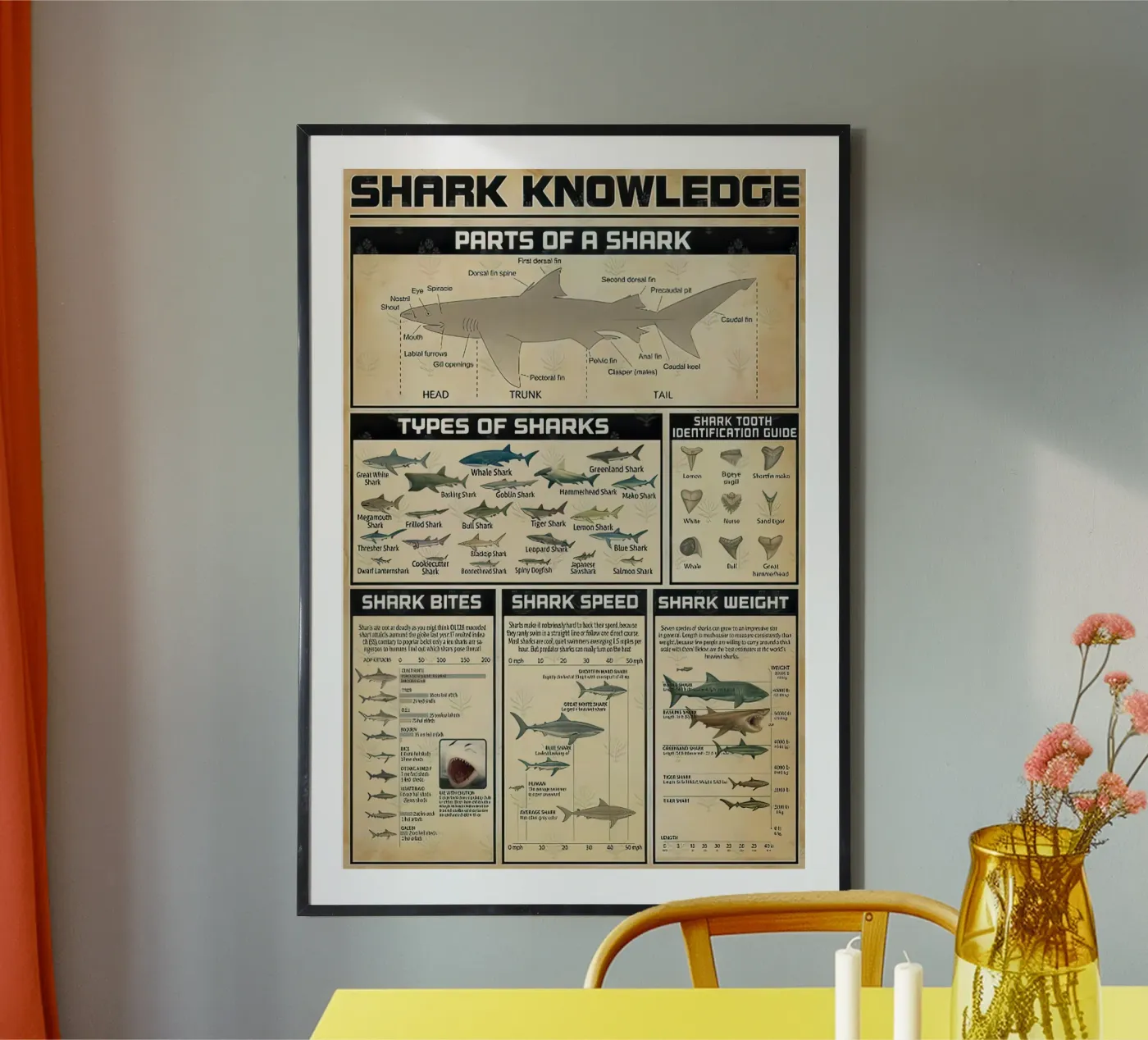 Shark Knowledge poster by Bongaerts