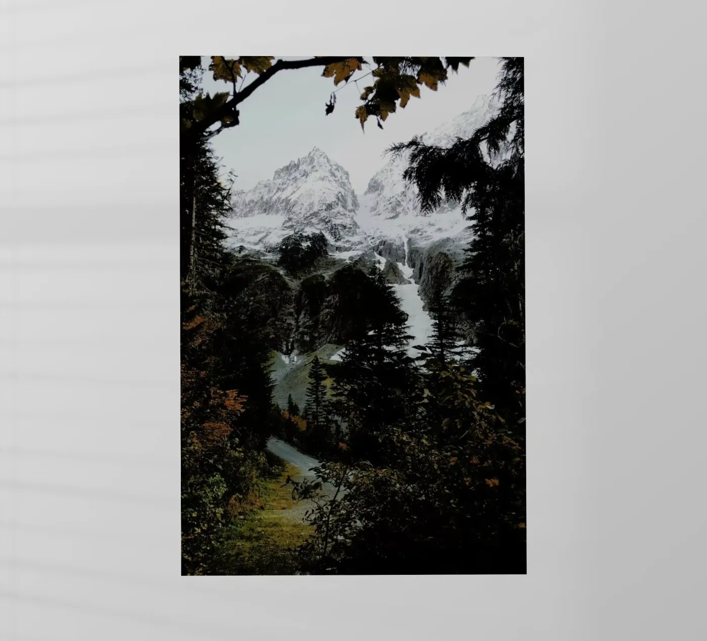 Cascade River RD pellicola backlit da Kevin Russ