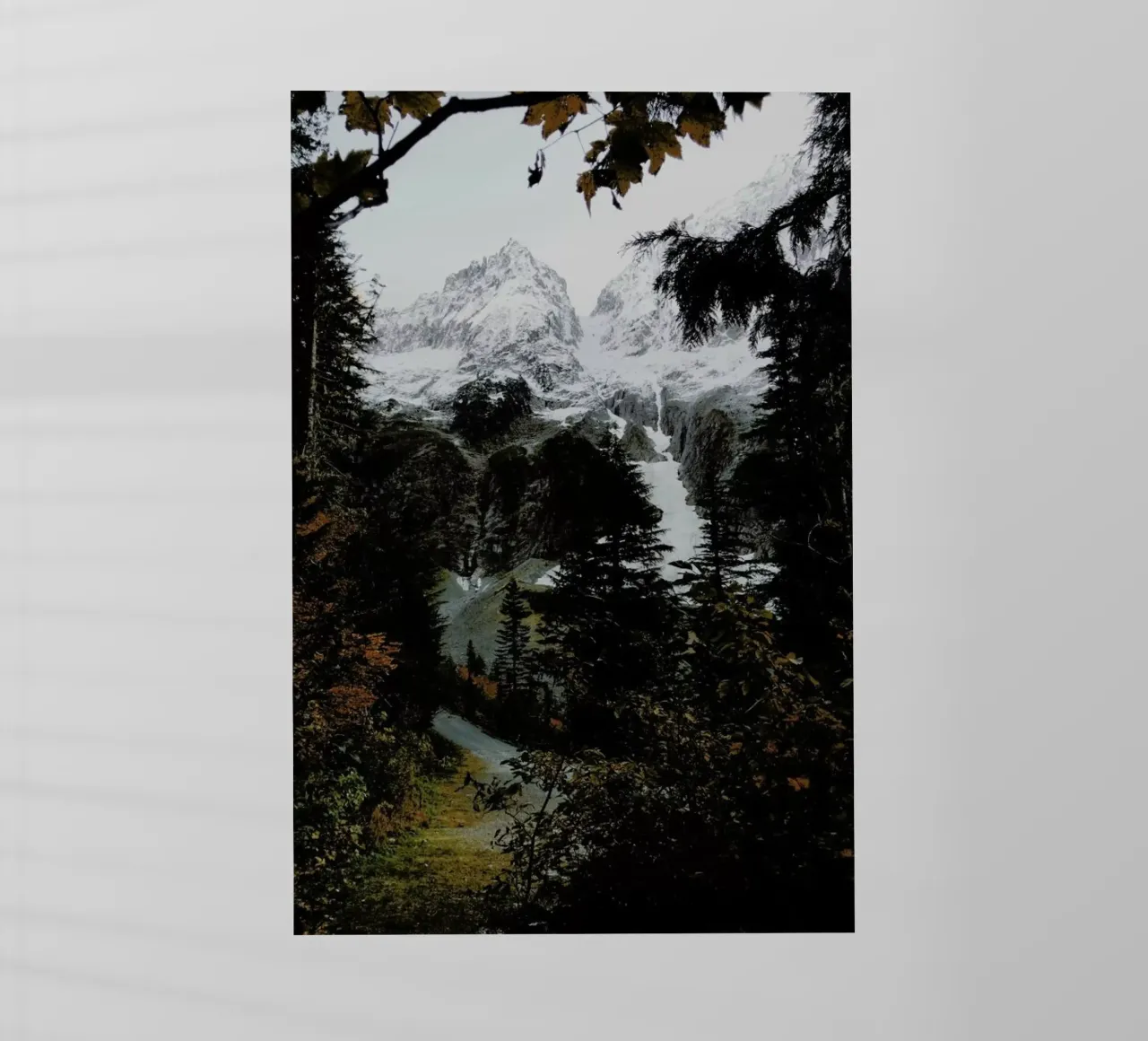 Cascade River RD pellicola backlit da Kevin Russ