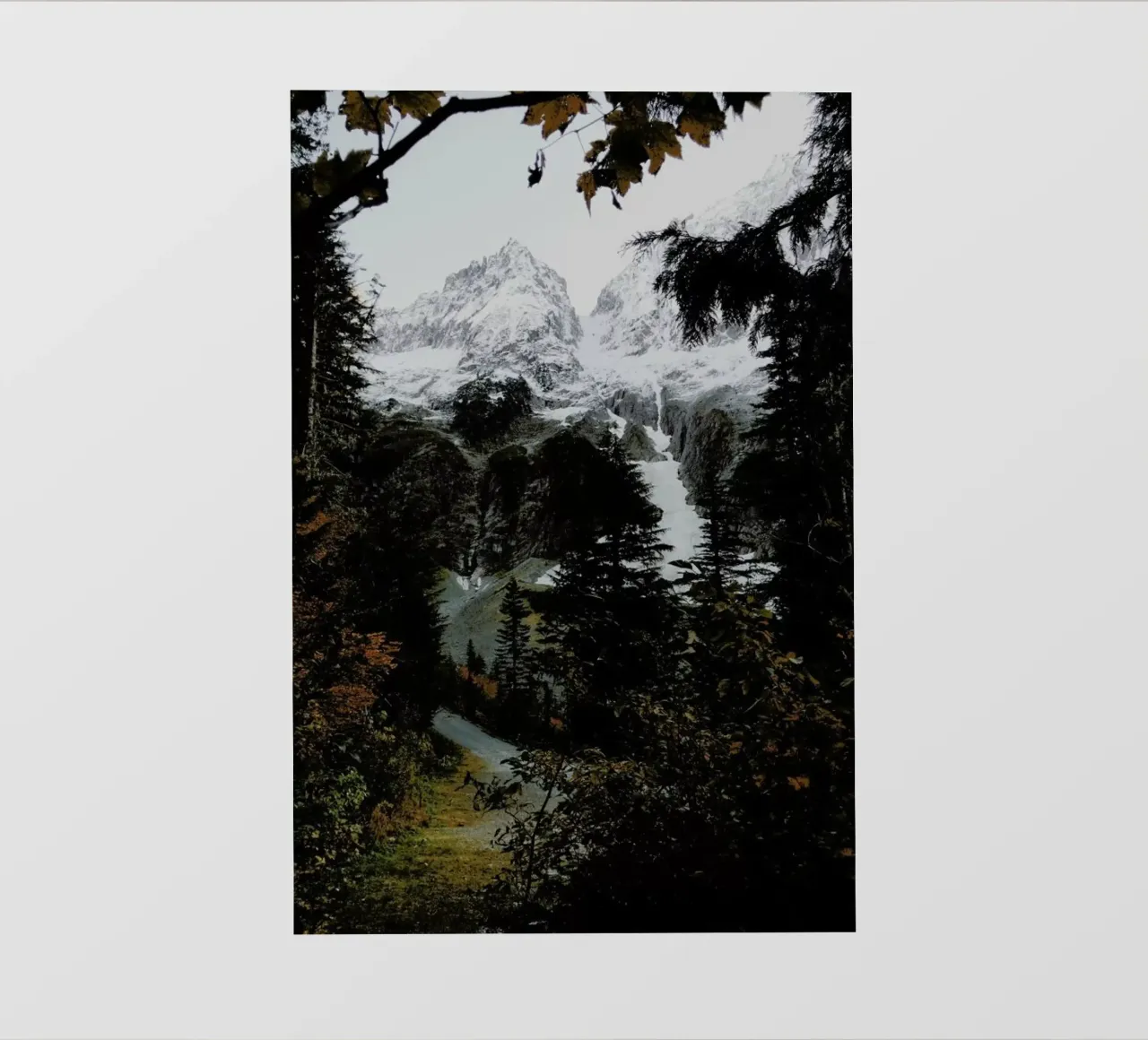 Cascade River RD pellicola backlit da Kevin Russ