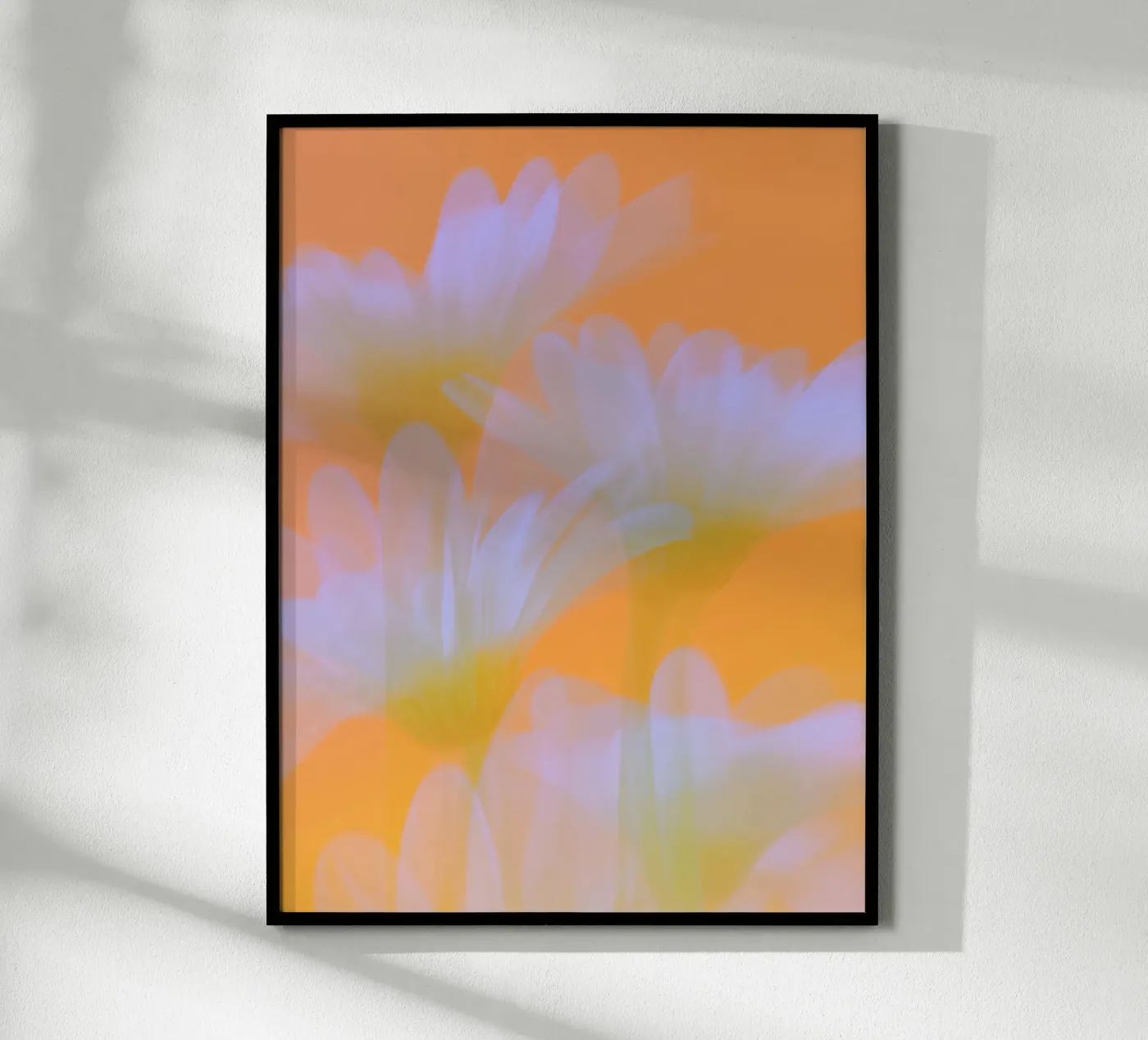Sunny Flora Daisies Poster von Carinaprint