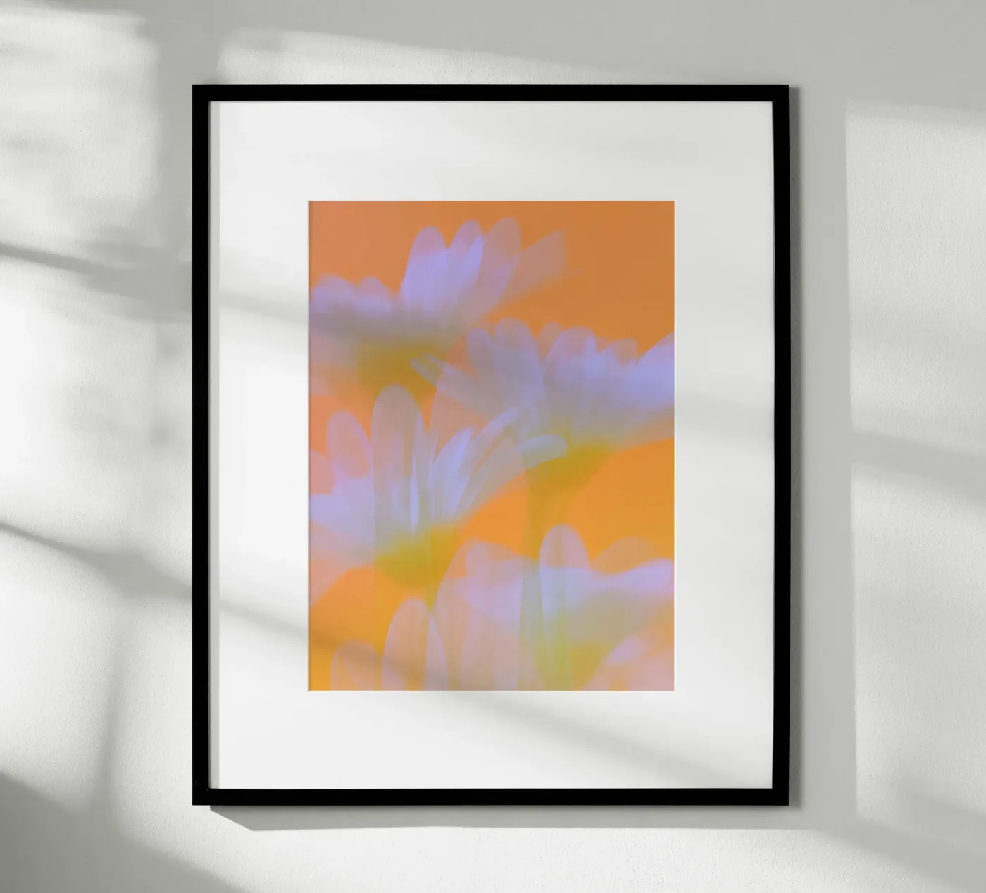 Sunny Flora Daisies Poster von Carinaprint