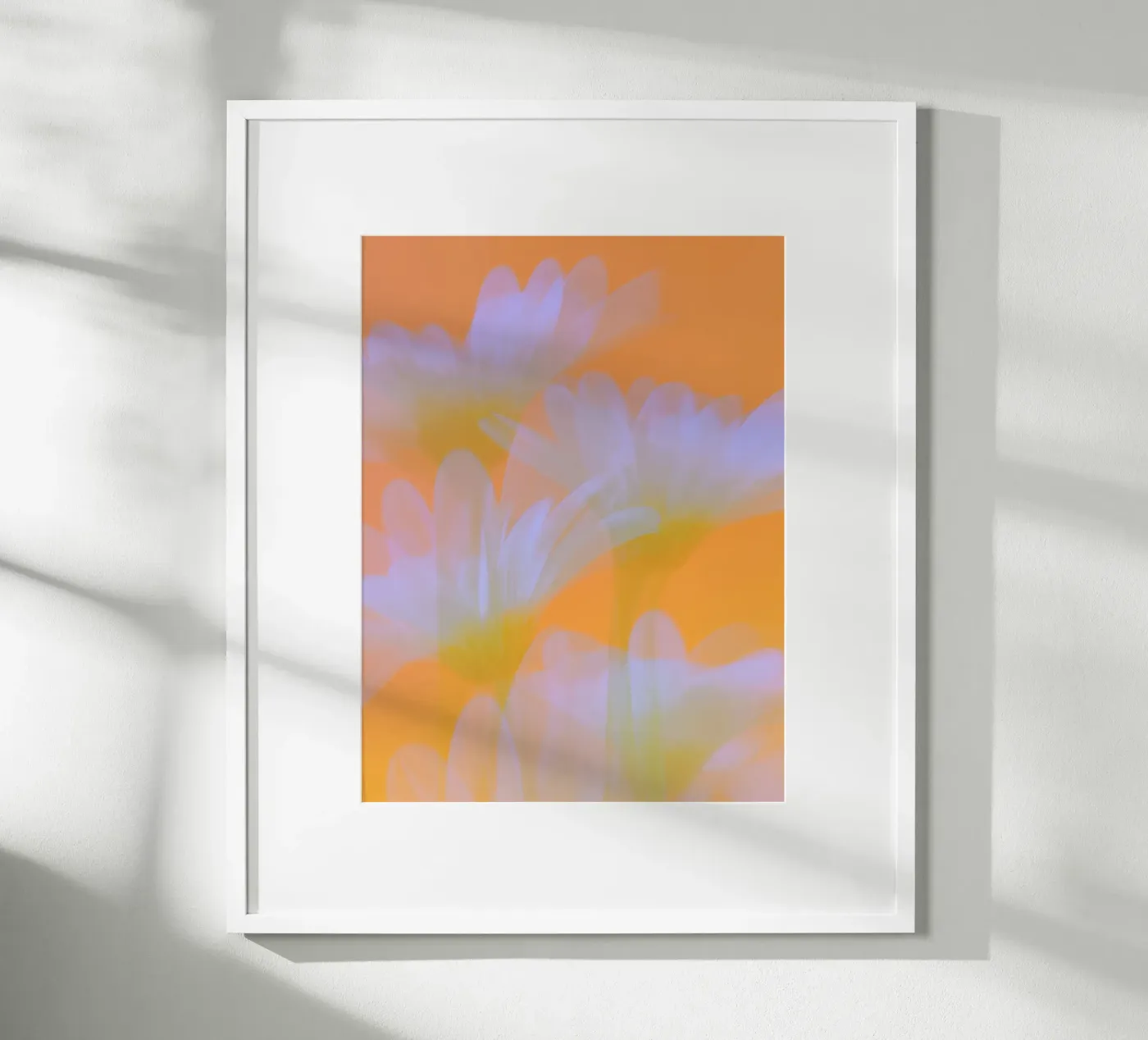 Sunny Flora Daisies Poster von Carinaprint