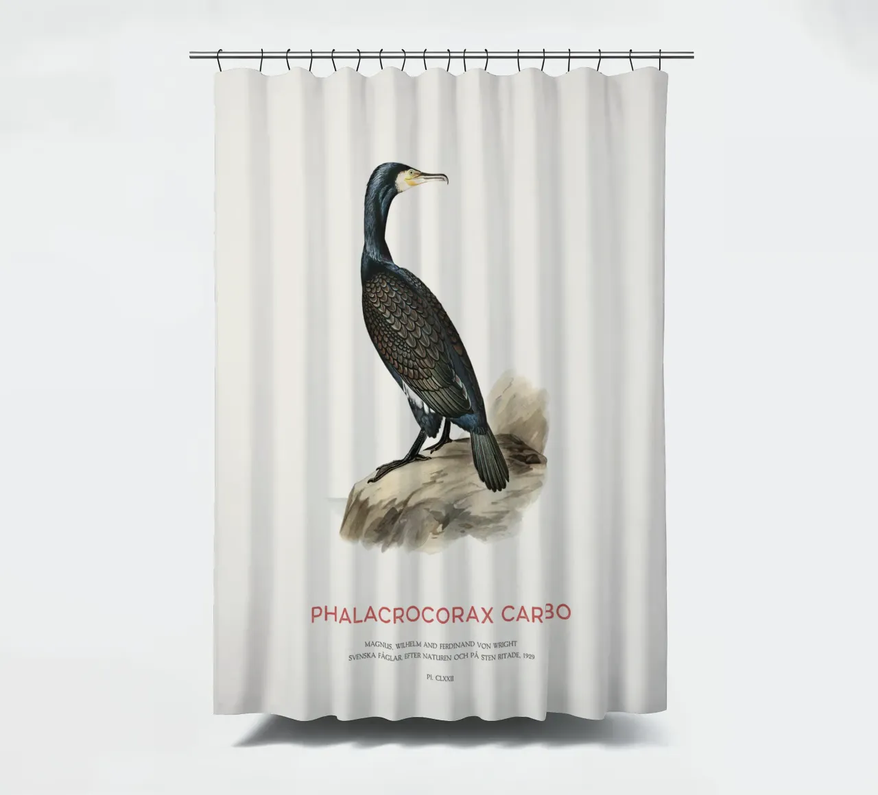 Grote aalscholver of Phalacrocorax carbo douchegordijn van Vintagrafica