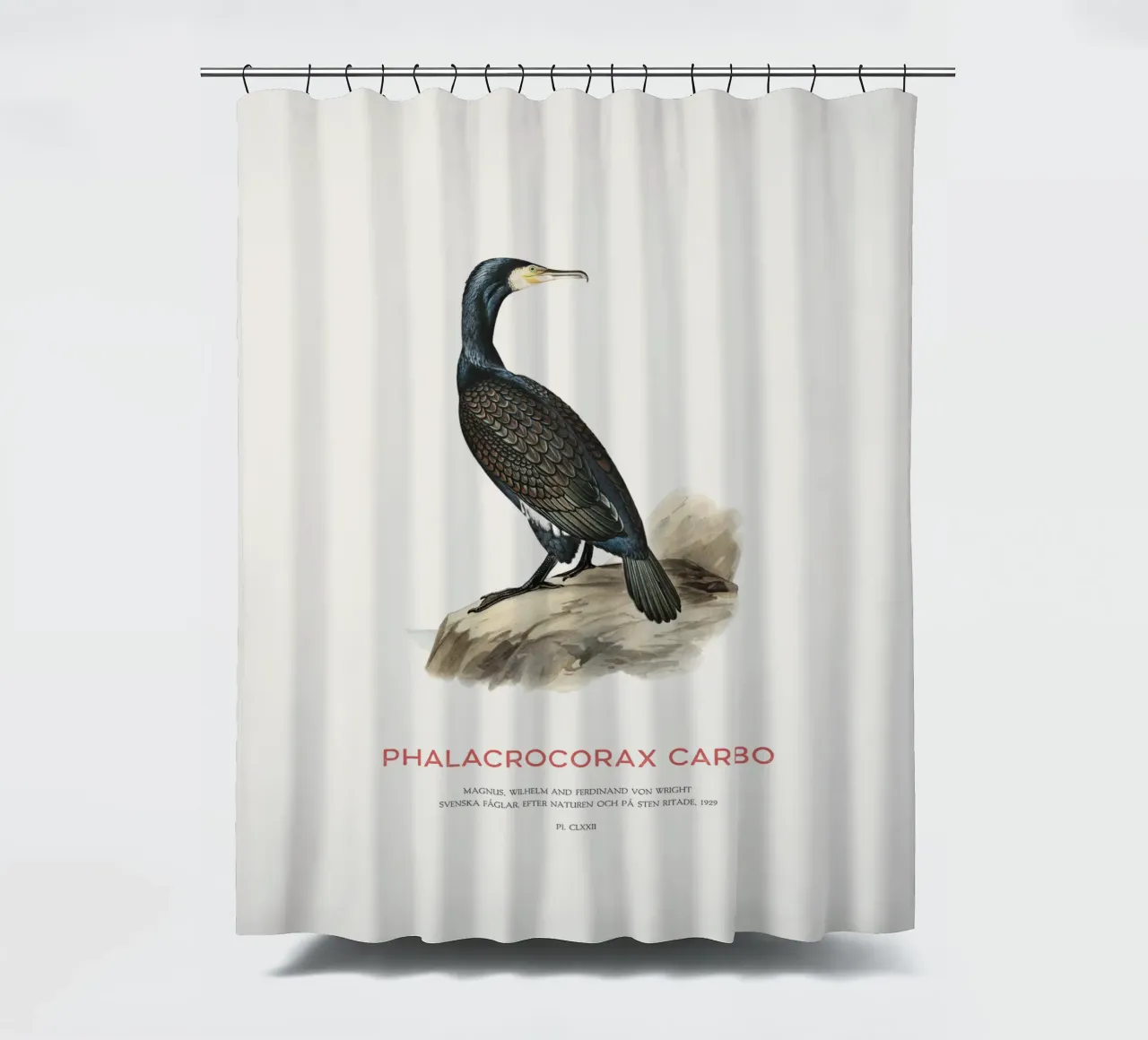 Grote aalscholver of Phalacrocorax carbo douchegordijn van Vintagrafica