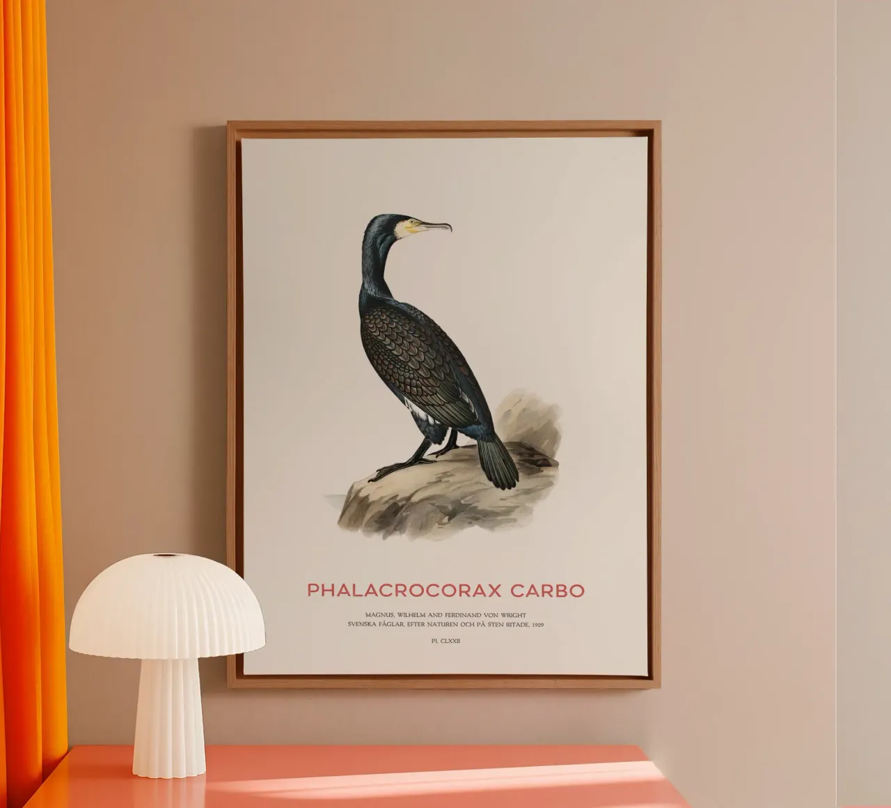 Grote aalscholver of Phalacrocorax carbo canvas van Vintagrafica
