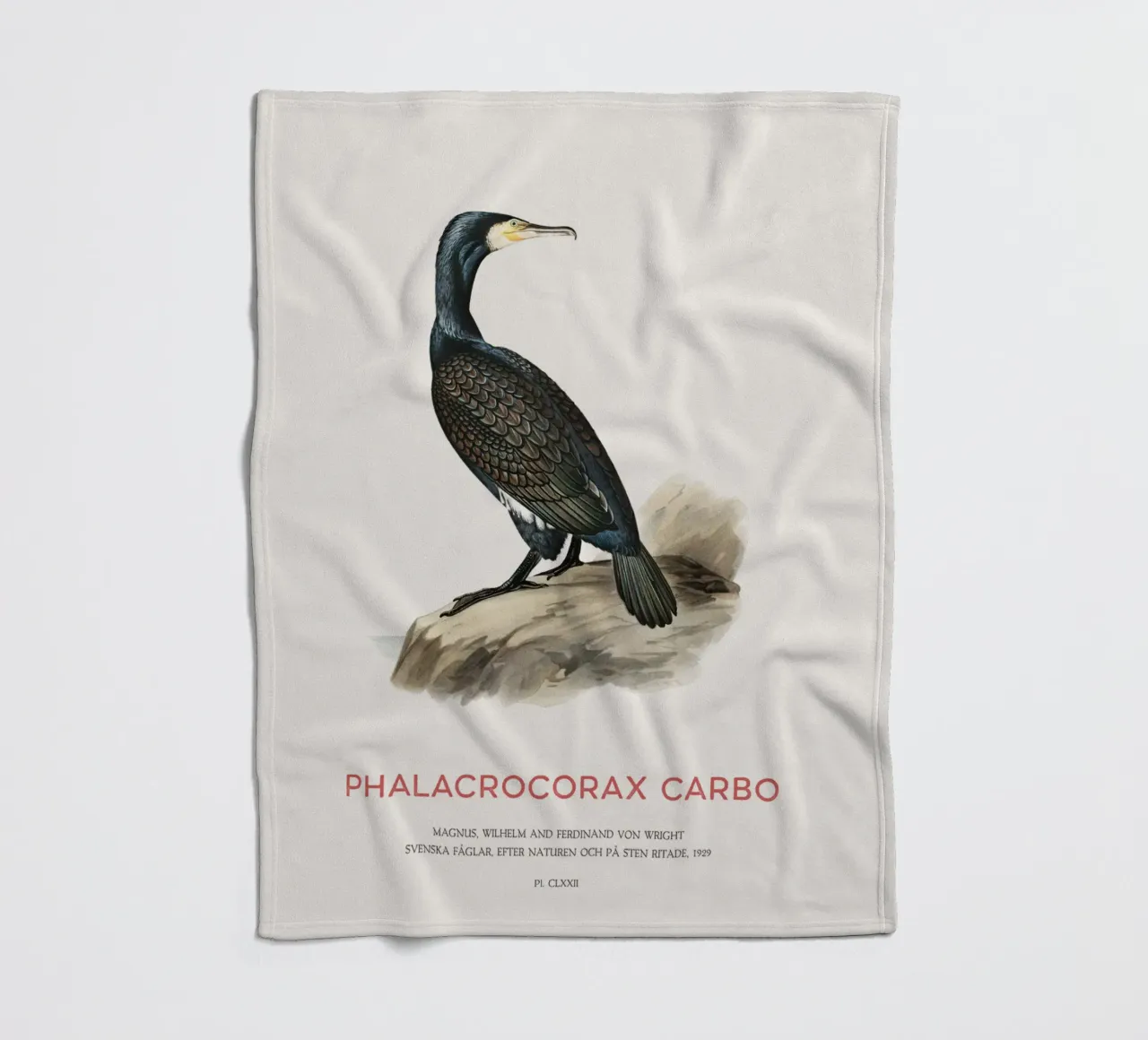 Cormorano maggiore o Phalacrocorax carbo coperta in pile da Vintagrafica