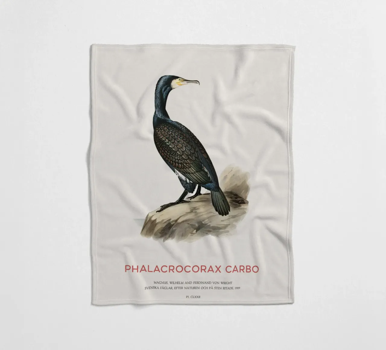 Cormorano maggiore o Phalacrocorax carbo coperta in pile da Vintagrafica