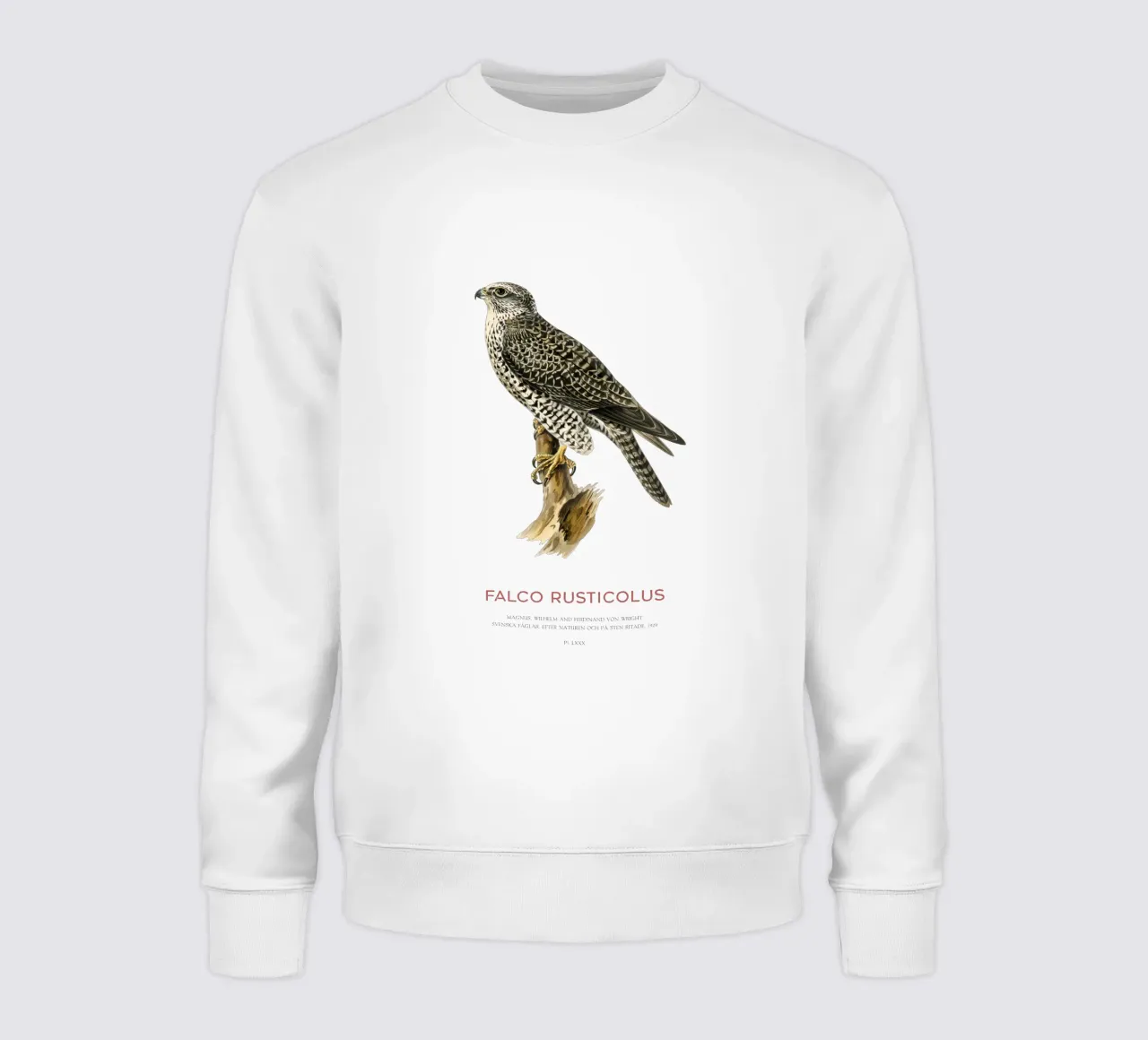 Gyrfalcon or Falco rusticolus felpa da Vintagrafica
