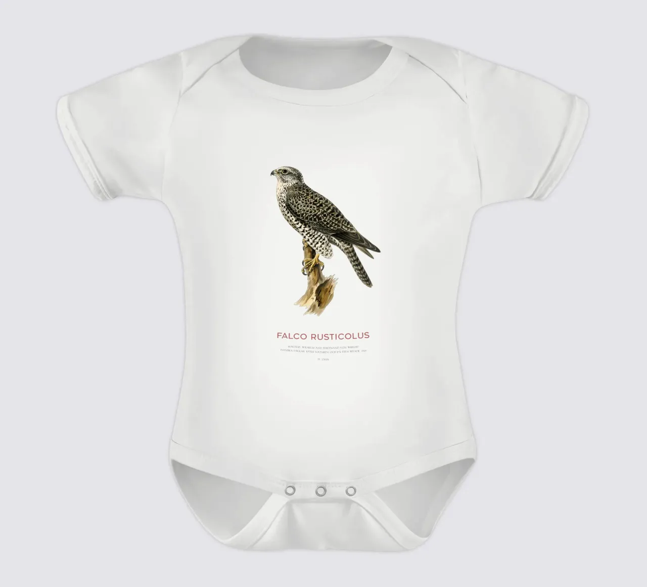 Gyrfalke oder Falco rusticolus Kurzarm Babybody von Vintagrafica