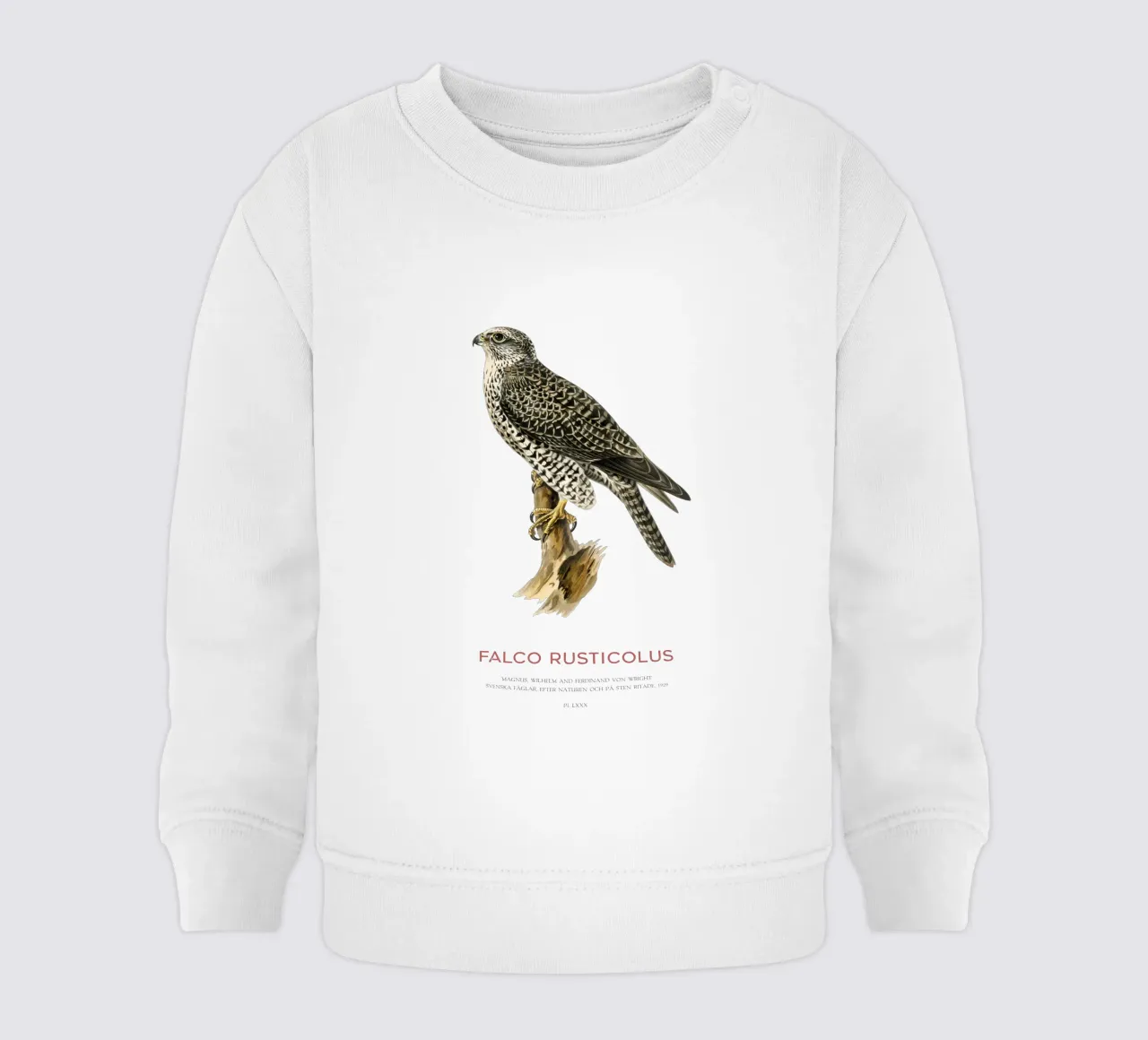 Gyrfalcon or Falco rusticolus felpa neonato da Vintagrafica