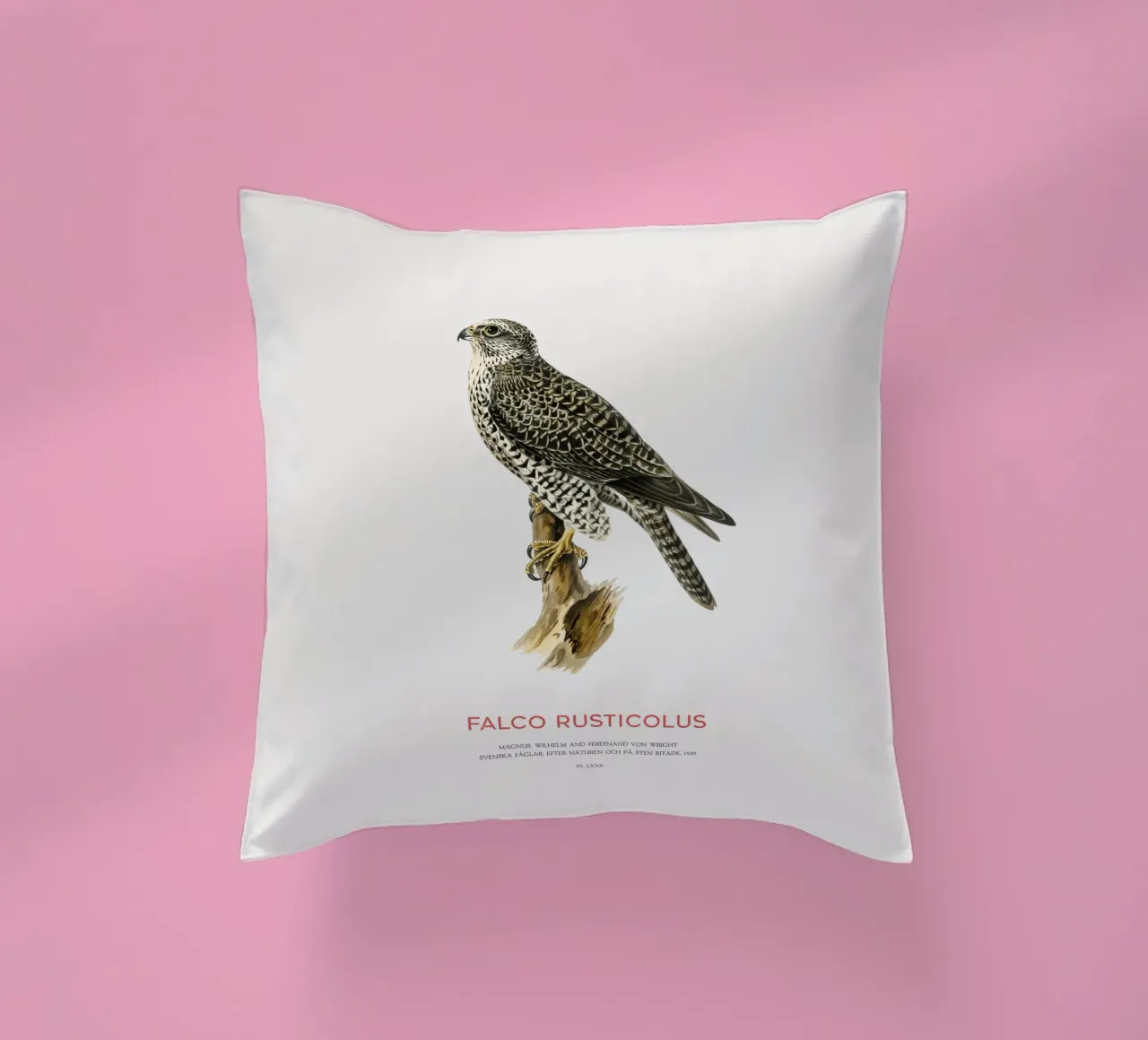 Gyrfalcon or Falco rusticolus cuscino da Vintagrafica