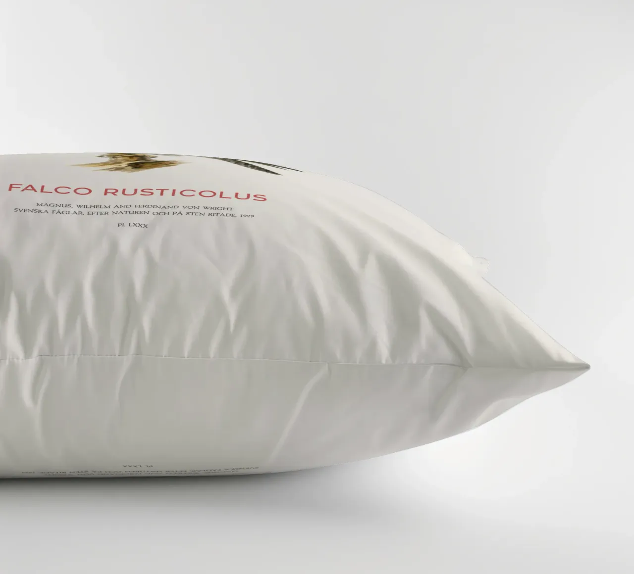 Gyrfalcon or Falco rusticolus cuscino da Vintagrafica