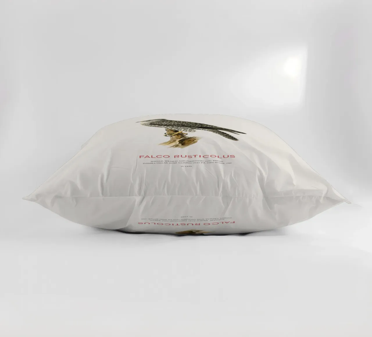 Gyrfalcon or Falco rusticolus cuscino da Vintagrafica