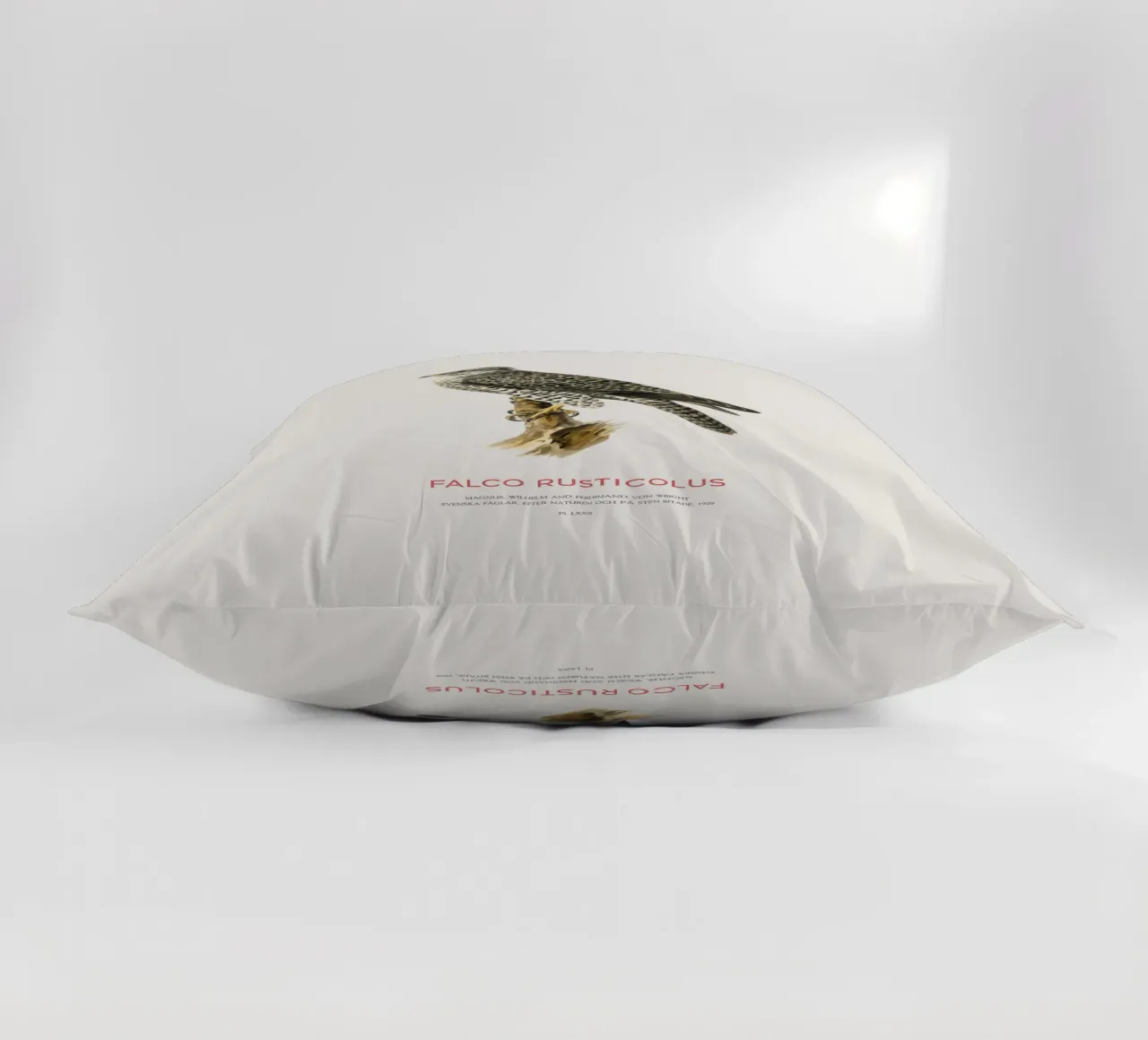 Gyrfalcon or Falco rusticolus cuscino da Vintagrafica