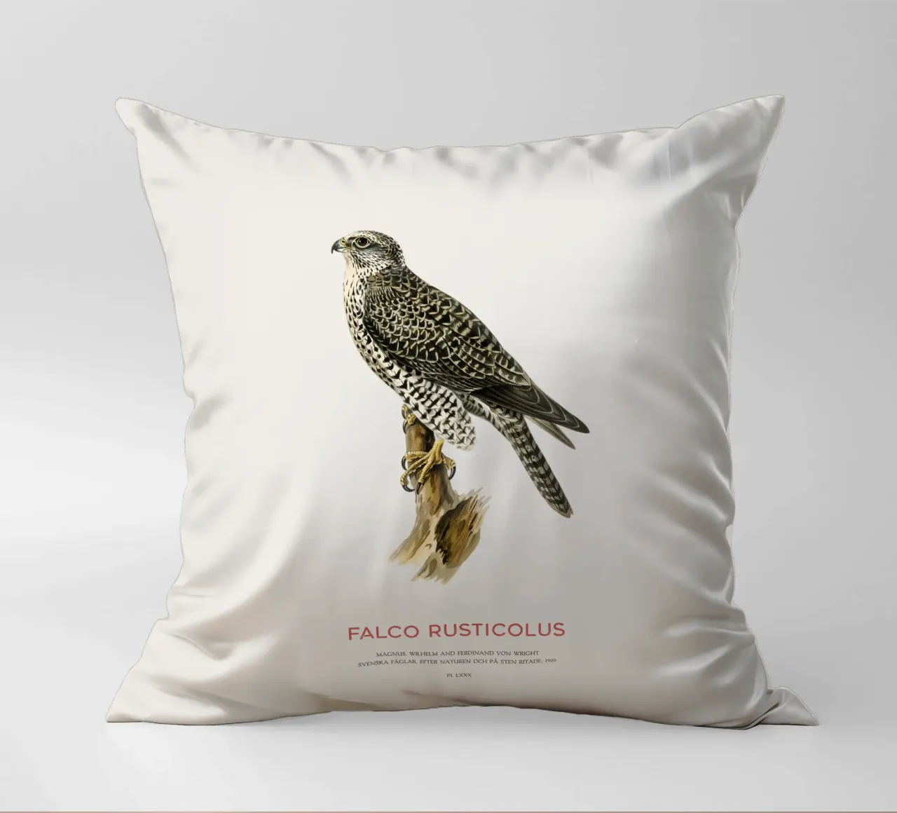 Gyrfalcon or Falco rusticolus cuscino da Vintagrafica