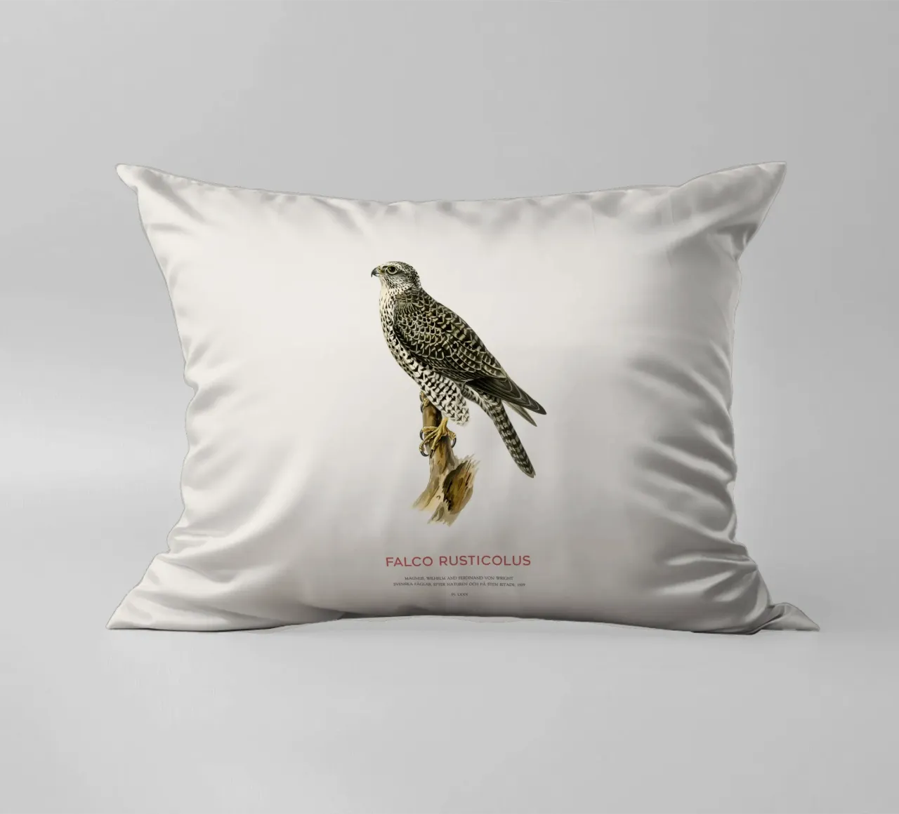 Gyrfalcon or Falco rusticolus cuscino da Vintagrafica