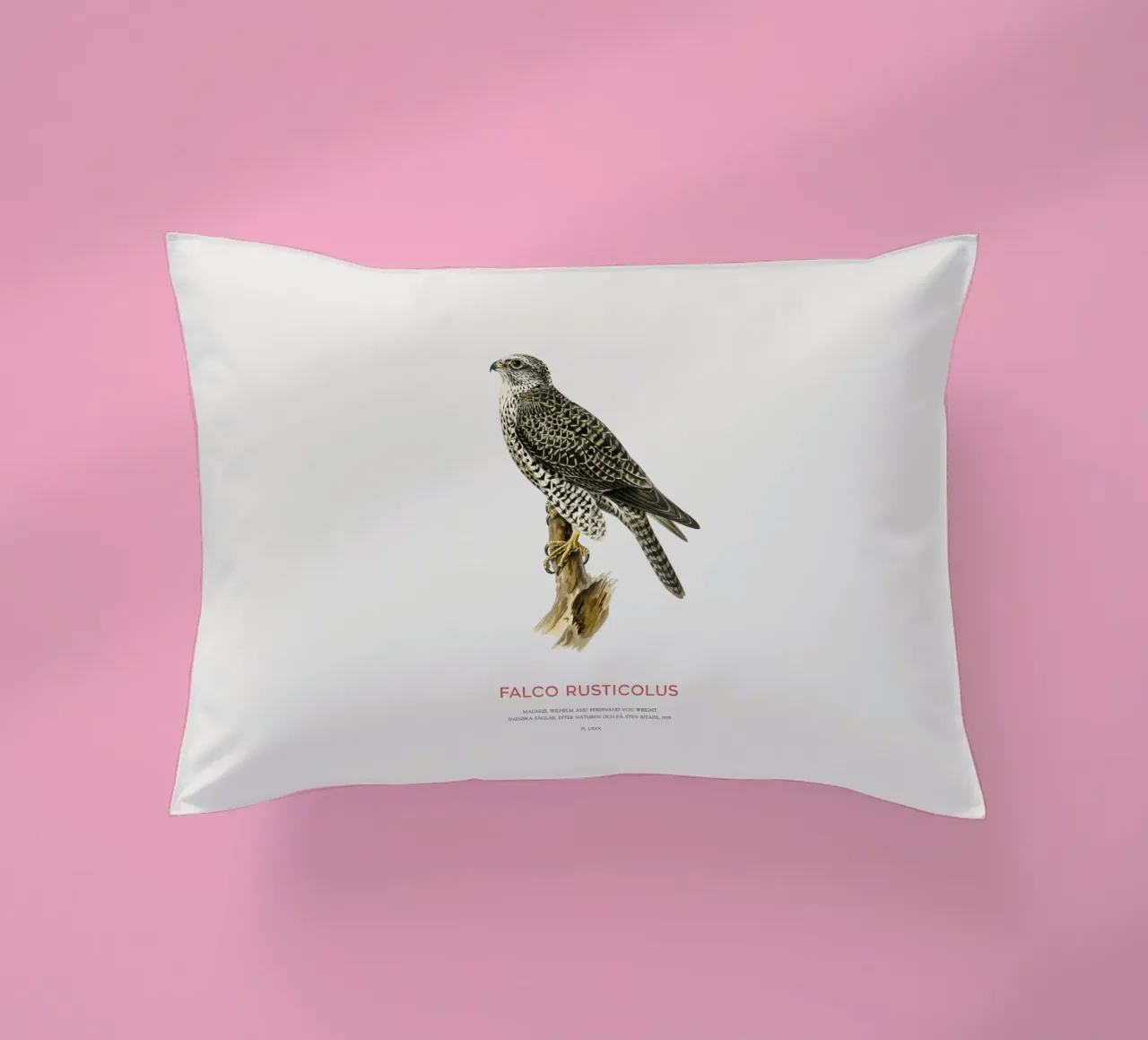 Gyrfalcon or Falco rusticolus cuscino da Vintagrafica