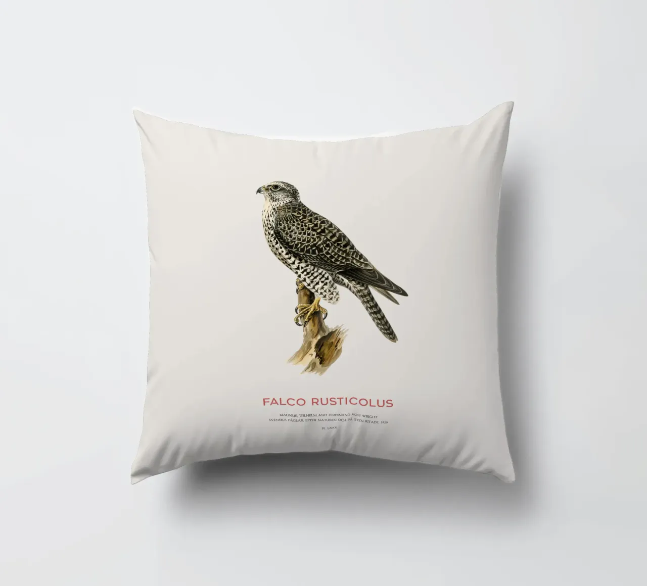 Gyrfalcon or Falco rusticolus cuscino da Vintagrafica