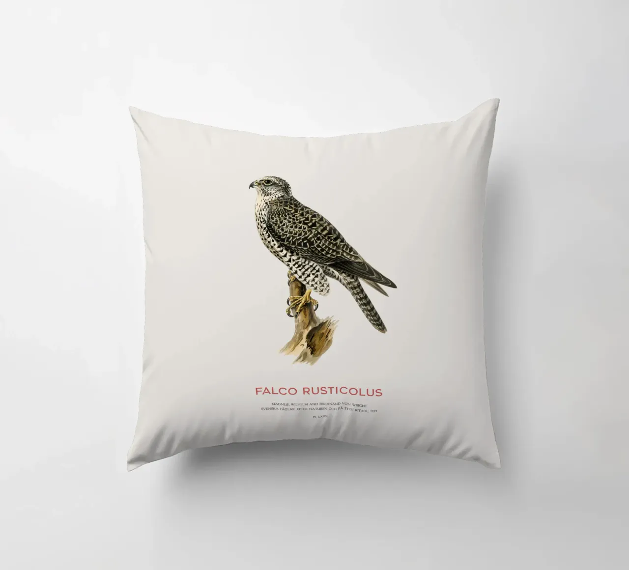 Gyrfalcon or Falco rusticolus cuscino da Vintagrafica
