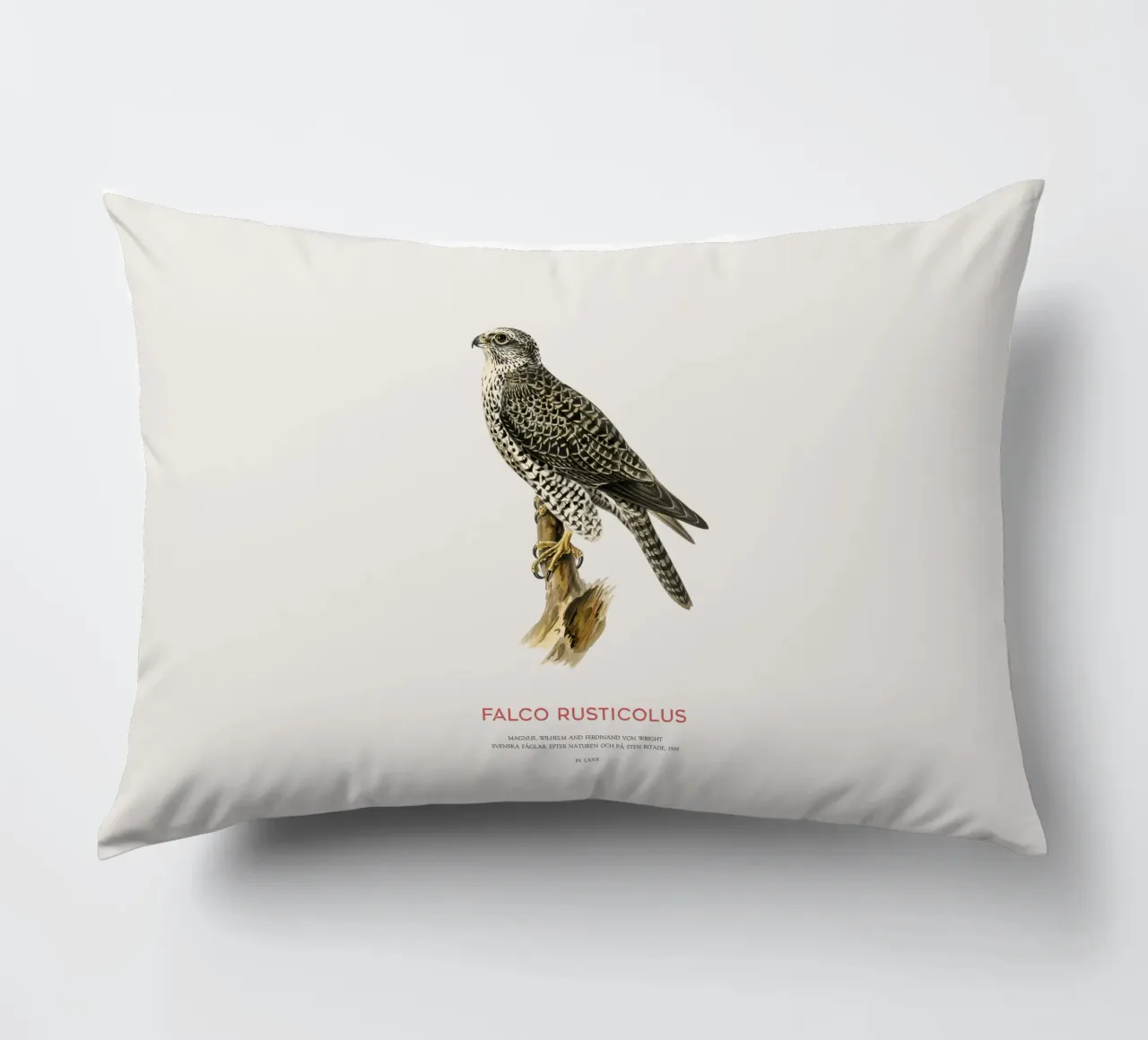 Gyrfalcon or Falco rusticolus cuscino da Vintagrafica