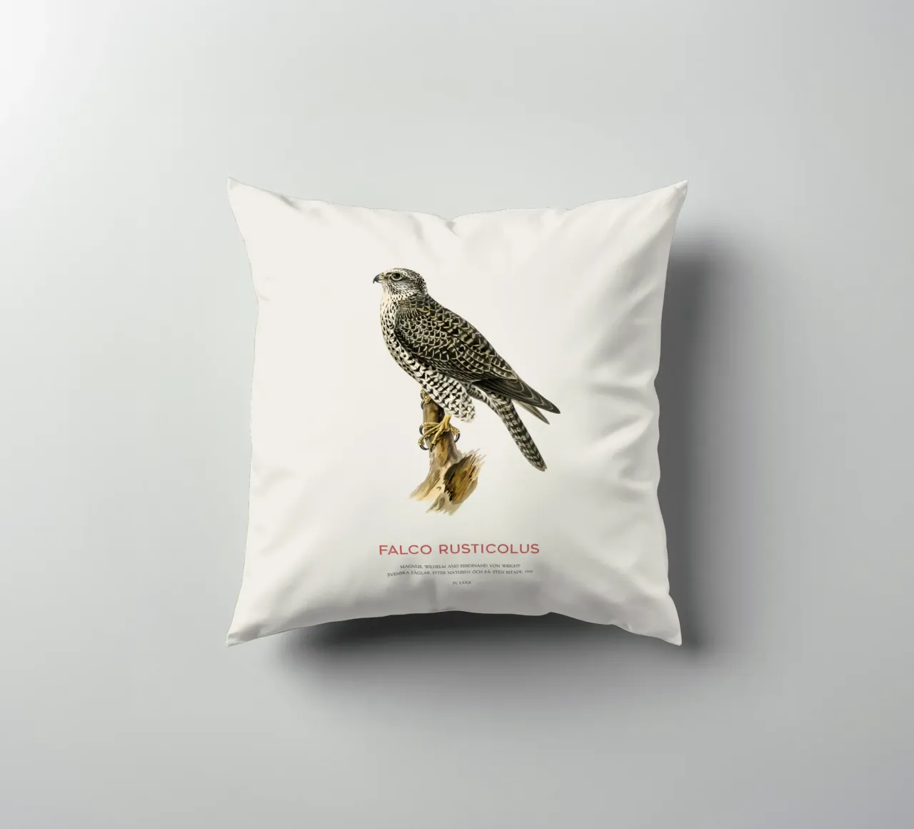 Gyrfalcon or Falco rusticolus cuscino da Vintagrafica