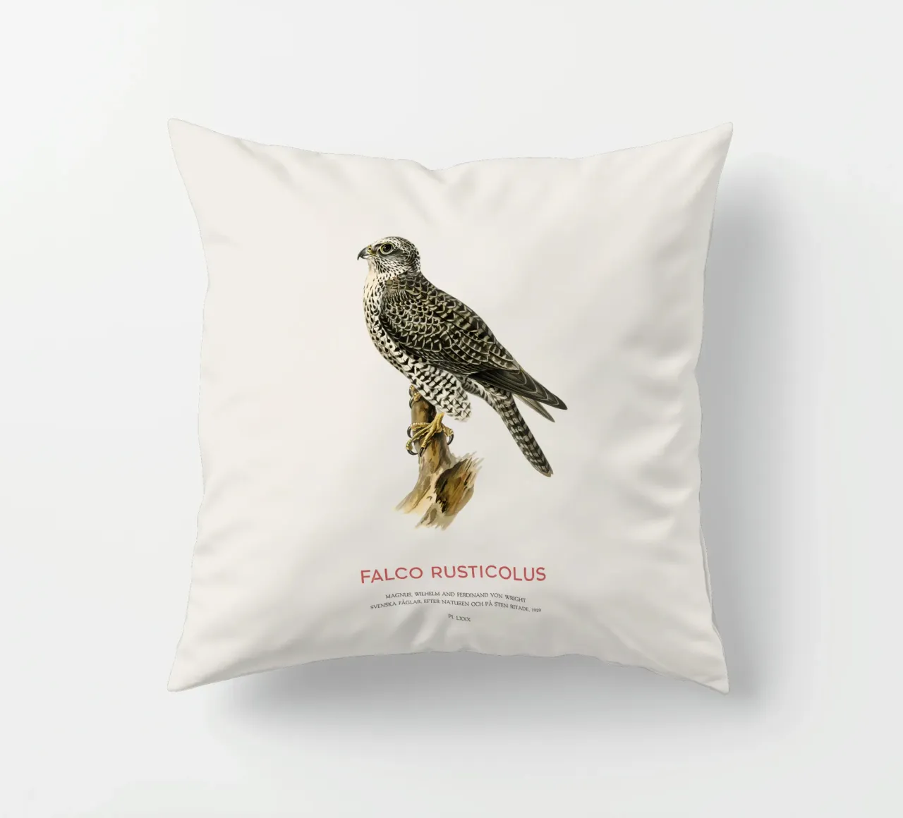 Gyrfalcon or Falco rusticolus cuscino da Vintagrafica