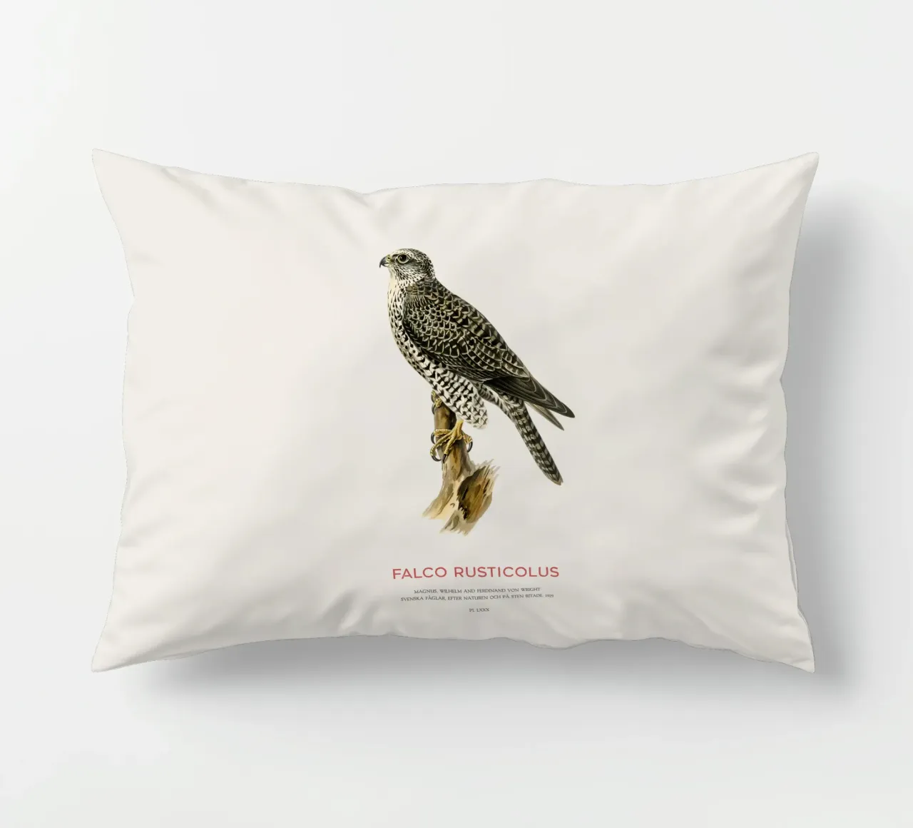 Gyrfalcon or Falco rusticolus cuscino da Vintagrafica