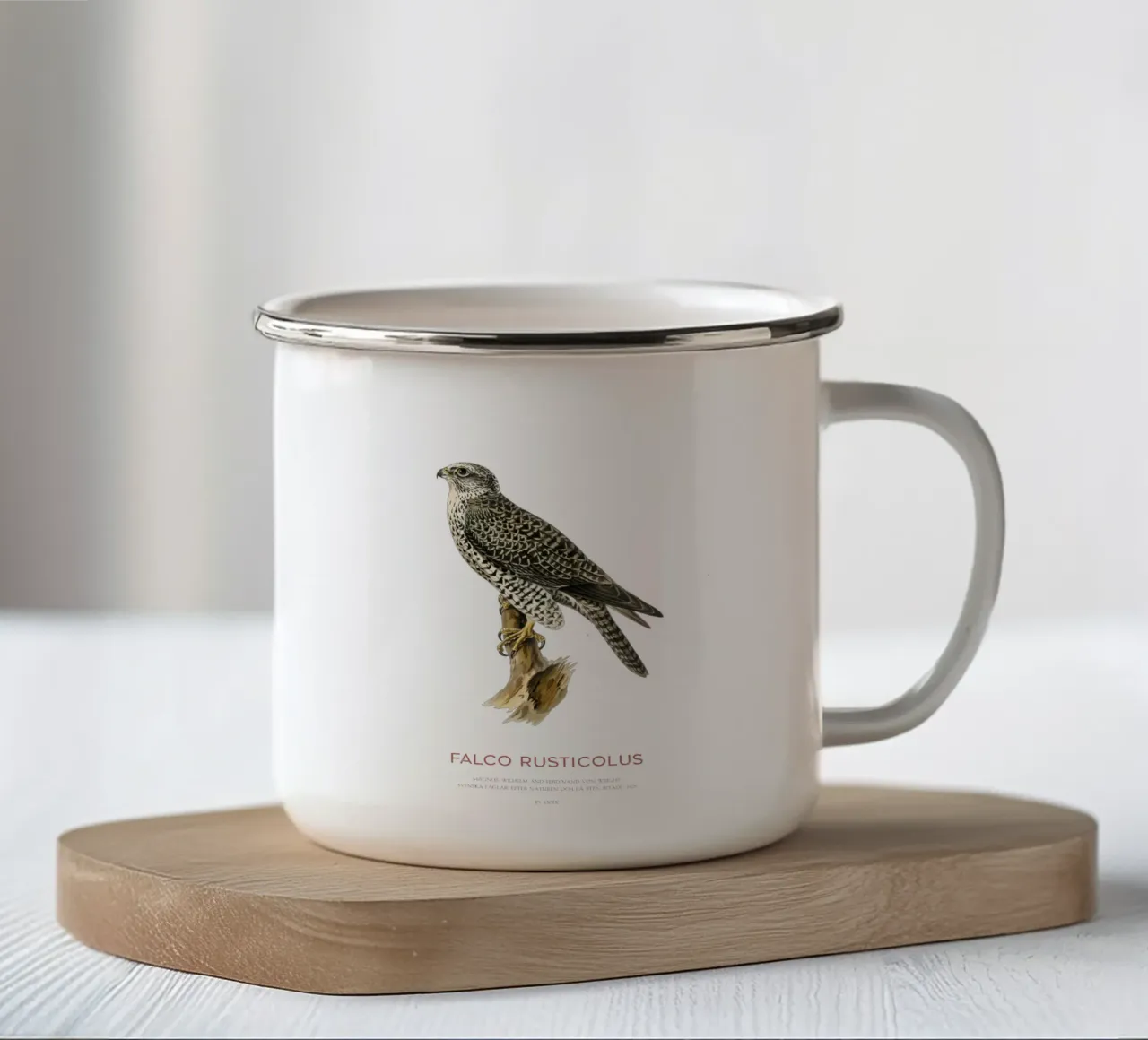 Gyrfalcon or Falco rusticolus tazza in smalto da Vintagrafica