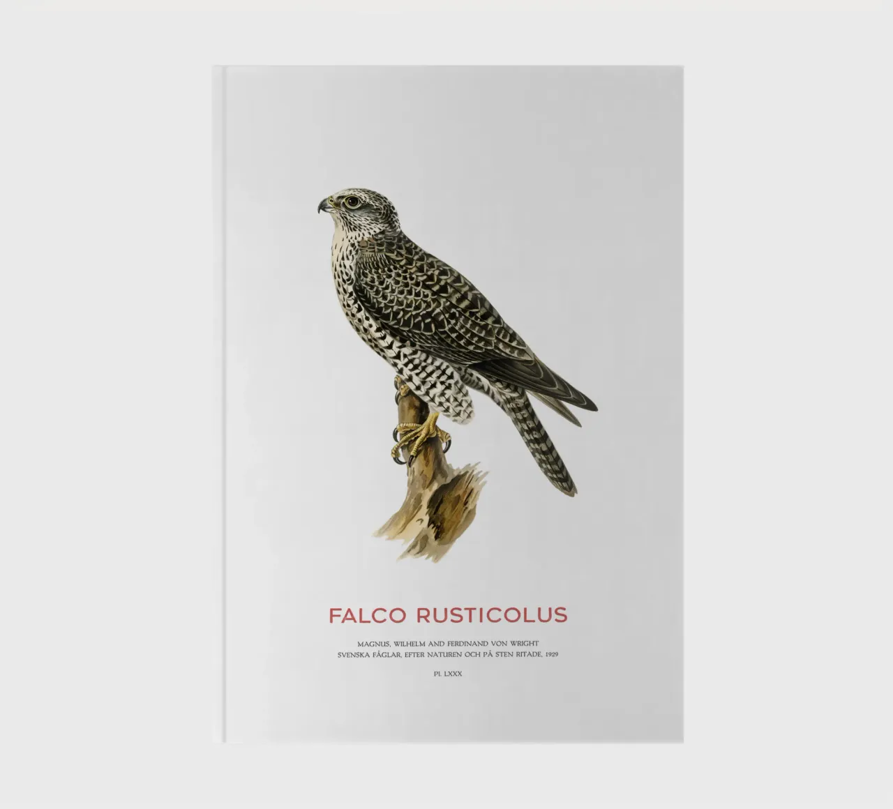 Gyrfalcon or Falco rusticolus notebook by Vintagrafica