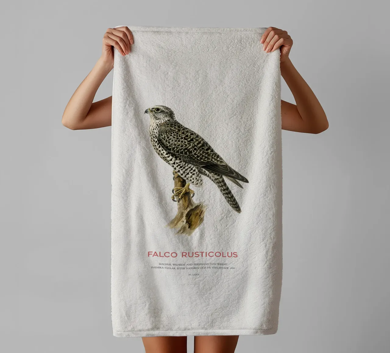 Gyrfalcon or Falco rusticolus asciugamano da bagno da Vintagrafica