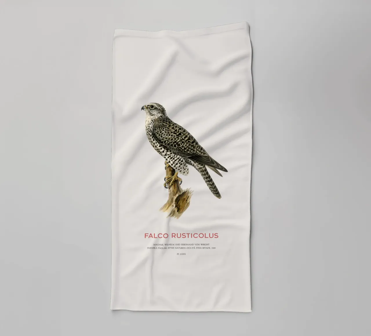 Gyrfalcon or Falco rusticolus asciugamano da bagno da Vintagrafica