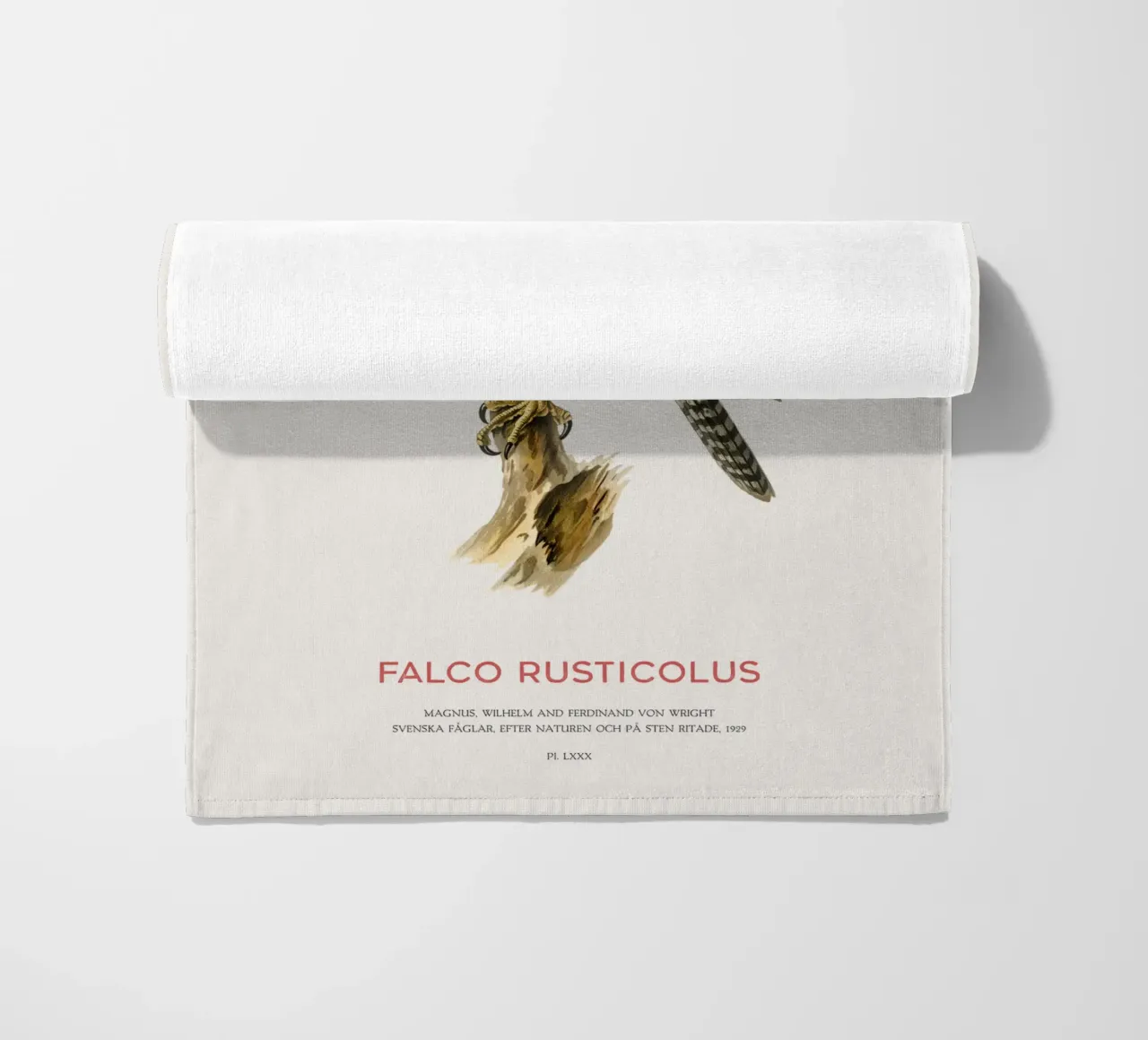 Gyrfalcon or Falco rusticolus telo mare da Vintagrafica