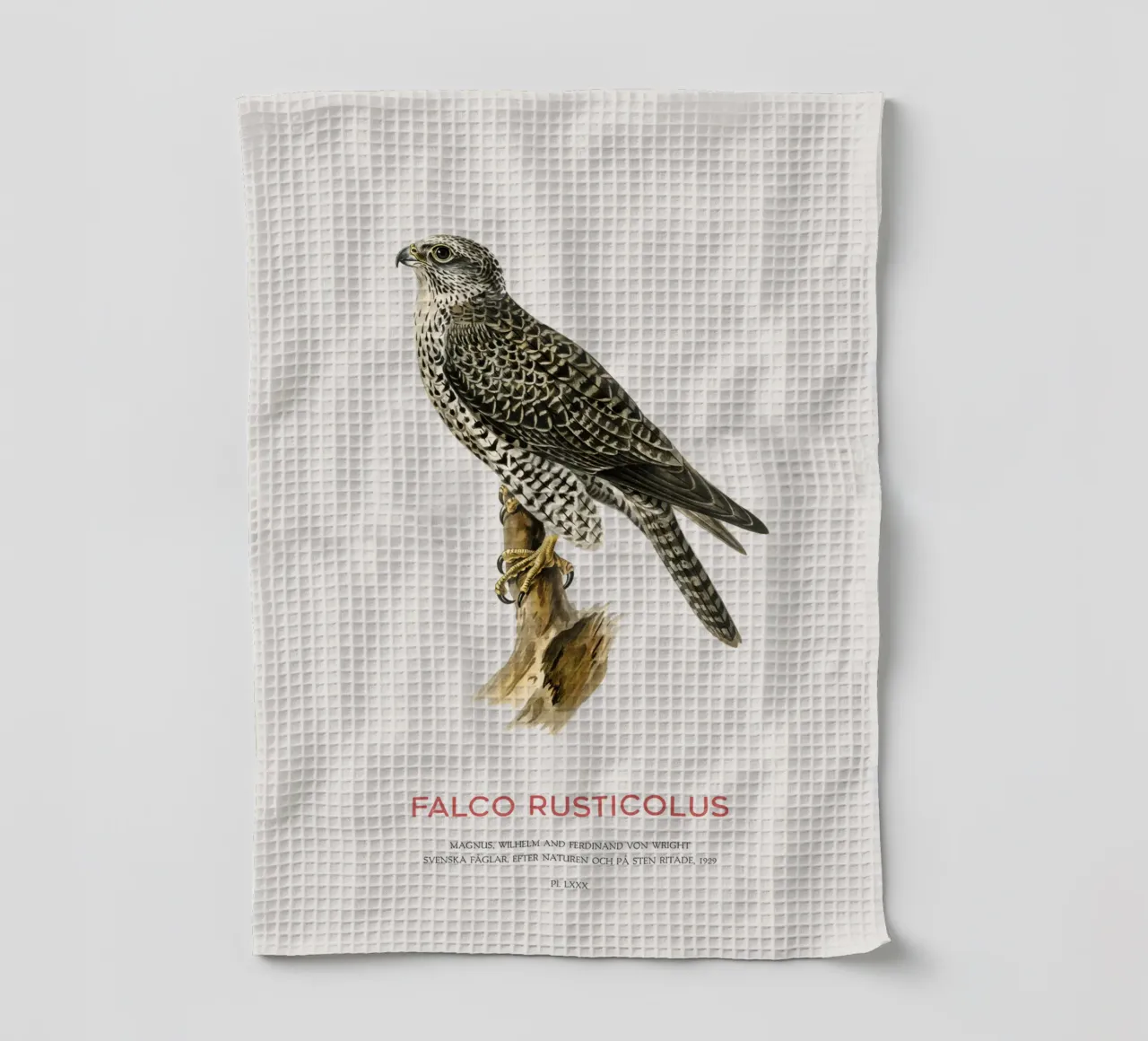 Gyrfalcon or Falco rusticolus canovaccio da cucina da Vintagrafica