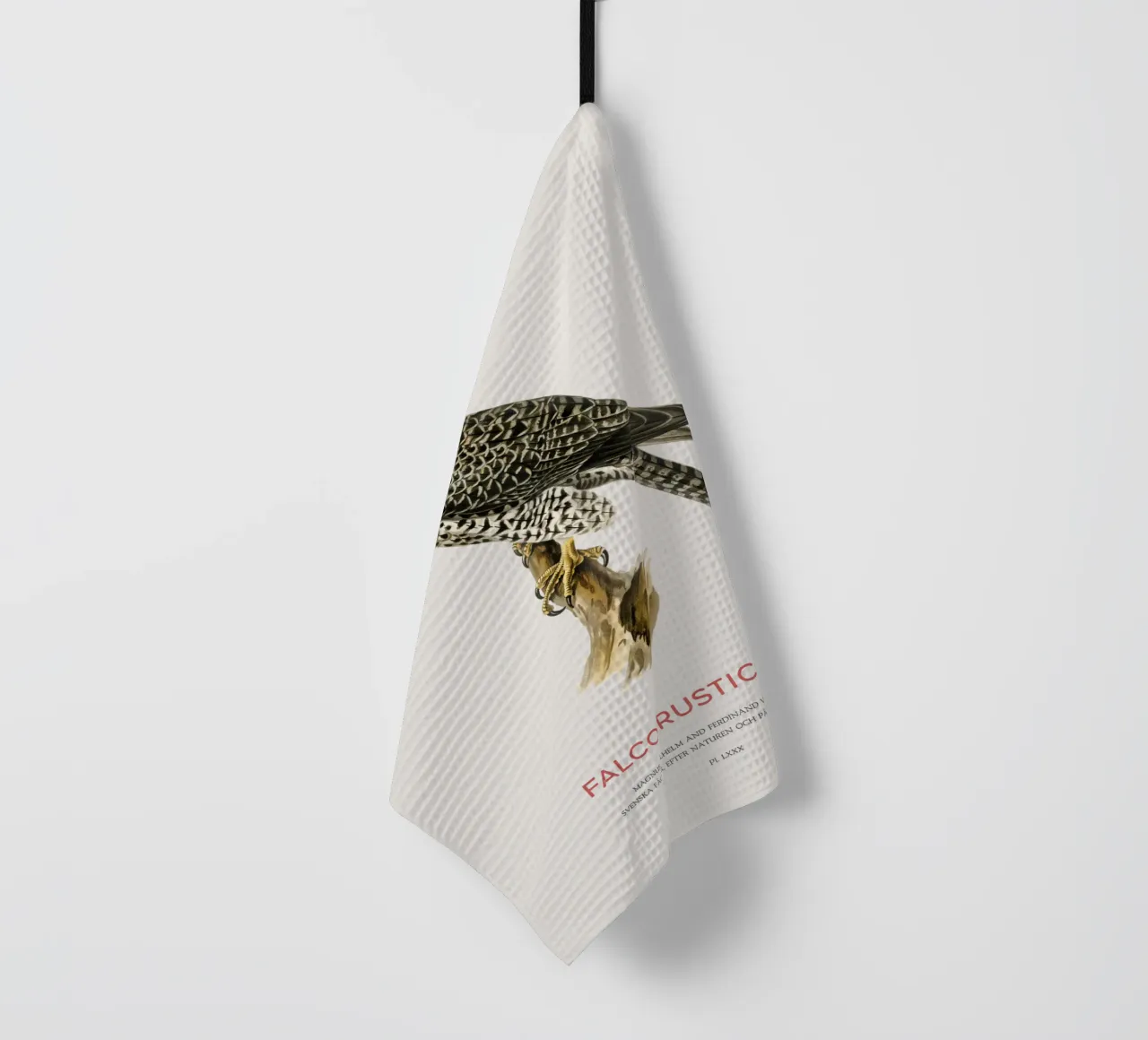 Gyrfalcon or Falco rusticolus canovaccio da cucina da Vintagrafica