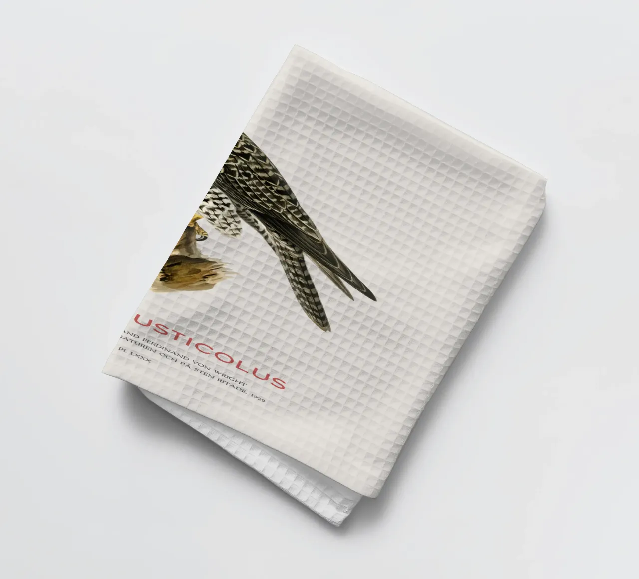 Gyrfalcon or Falco rusticolus canovaccio da cucina da Vintagrafica